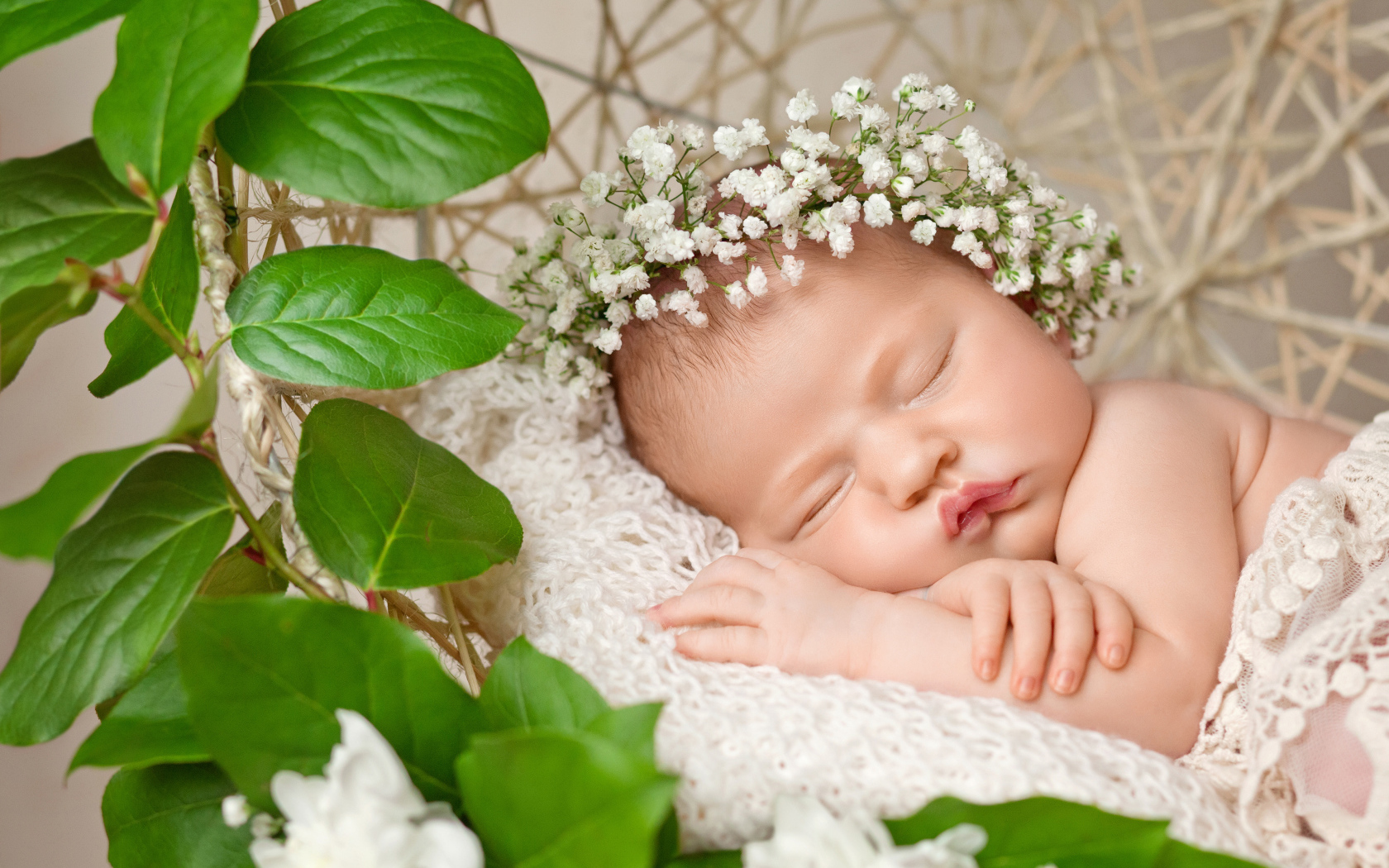 Милый маленький спящий младенец с белыми цветами на голове