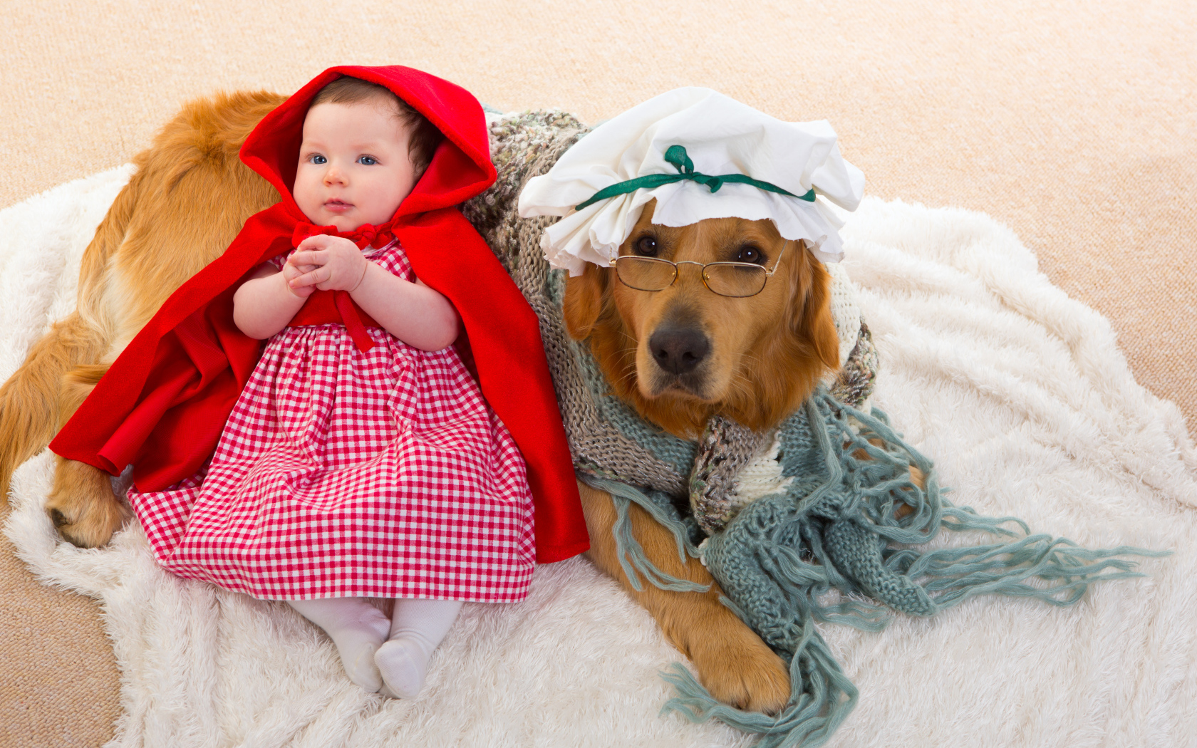 Маленькая девочка в костюме красной шапочки с большой собакой