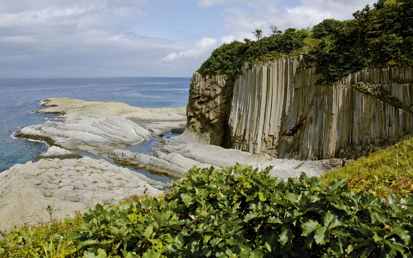 Мыс Столбчатый, Курильские острова. Россия 