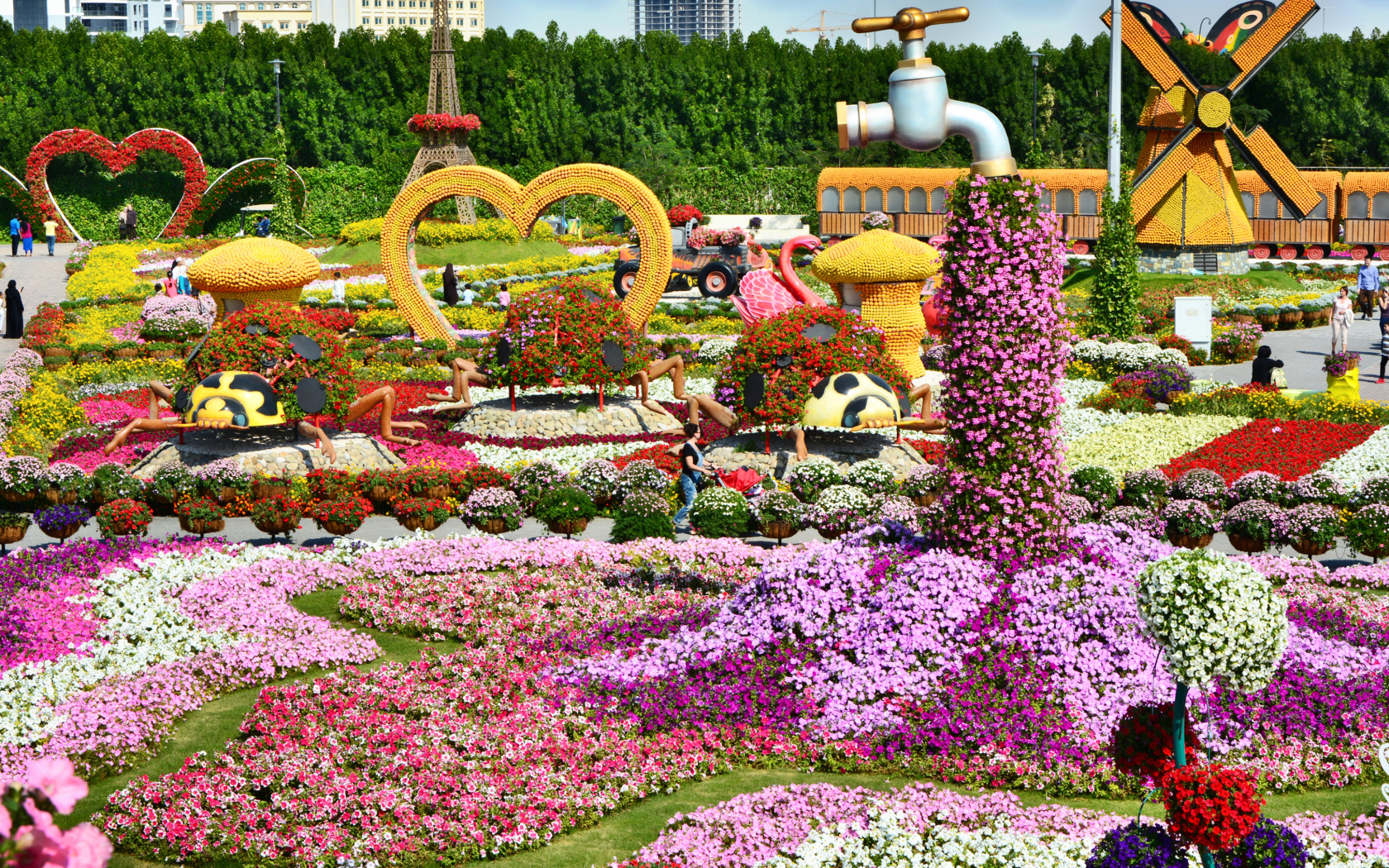 Цветущие петунии в саду чудес, Дубае. ОАЭ