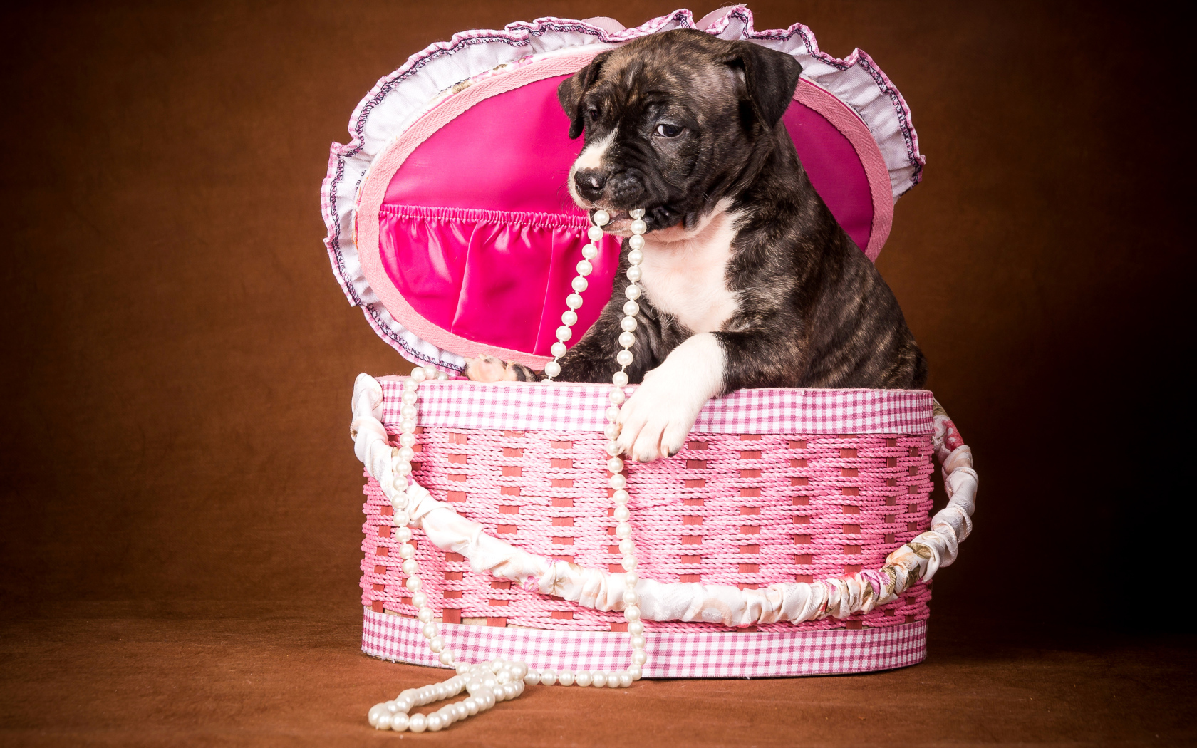 Забавный щенок в розовой корзине с бусами