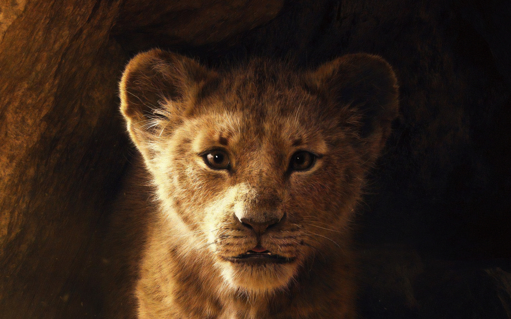 Львенок Симба персонаж нового мультфильма Король Лев, 2019