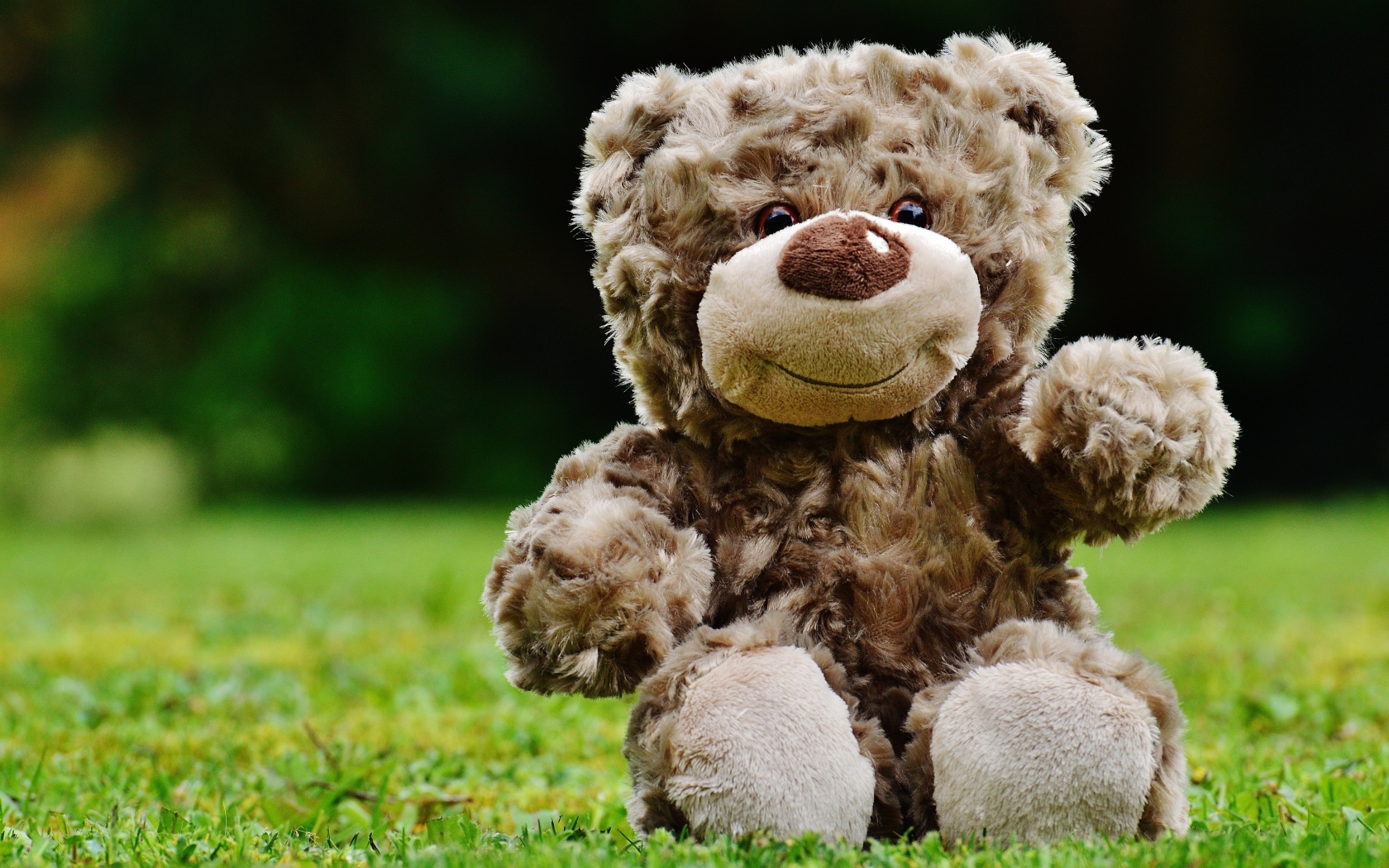 Милый плюшевый мишка сидит на зеленой траве