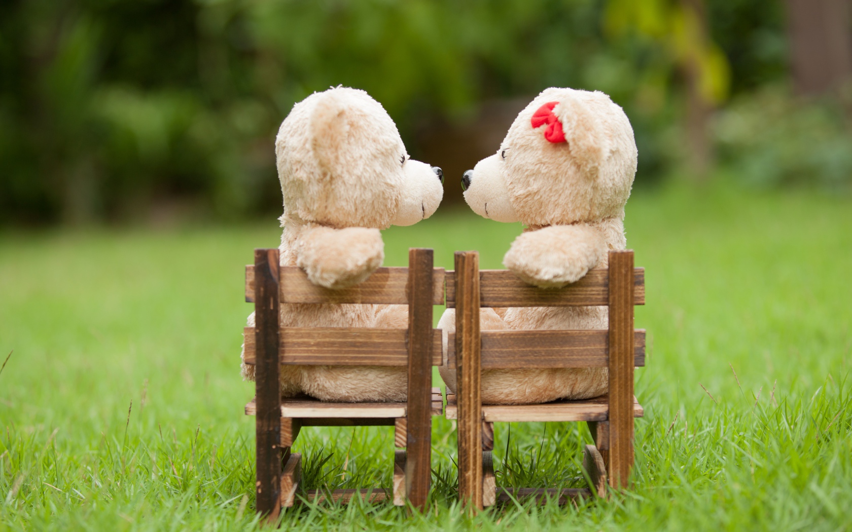 Два плюшевых мишки на деревянных креслах на зеленой траве
