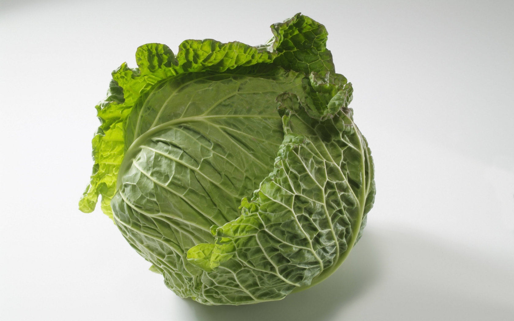 Зеленый кочан капусты на сером фоне 