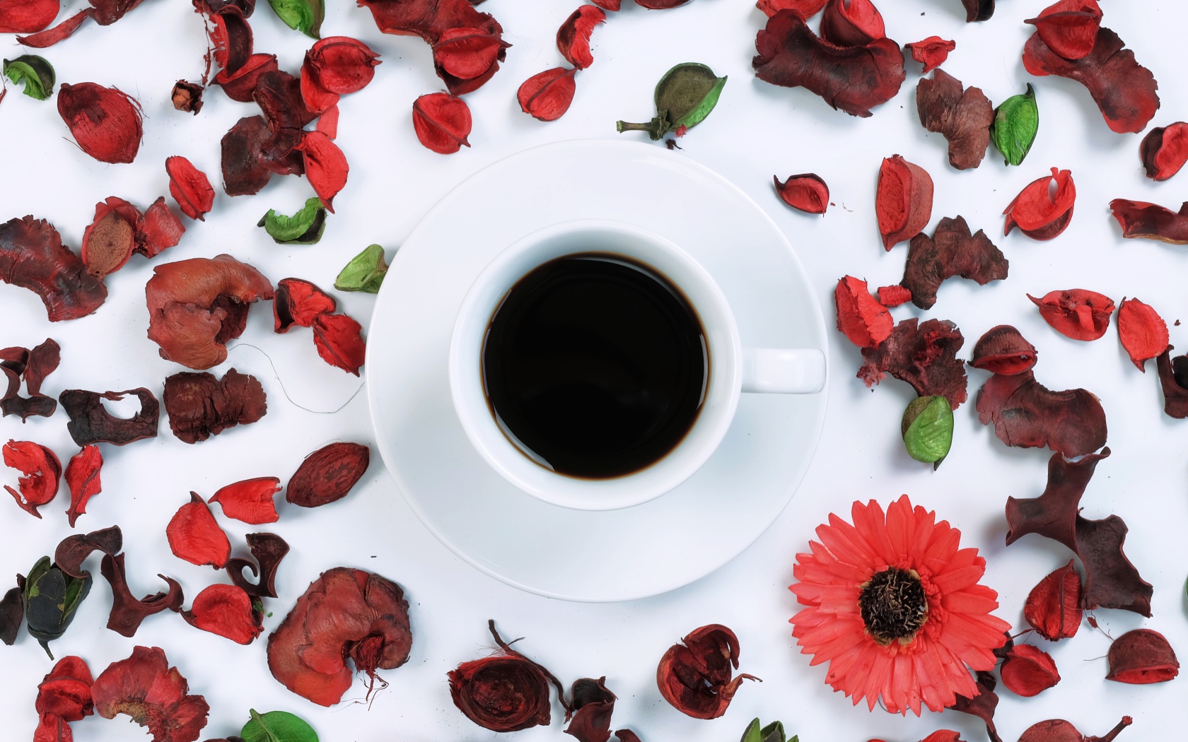 Чашка кофе на белой поверхности с сухими лепестками 