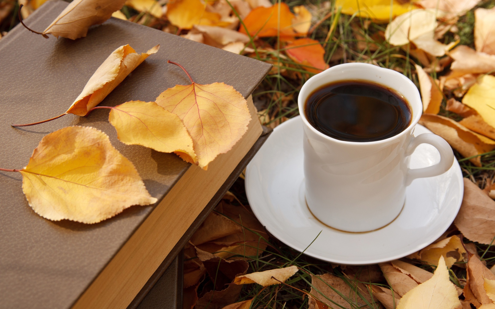 Белая чашка кофе с книгой на сухой листве осенью