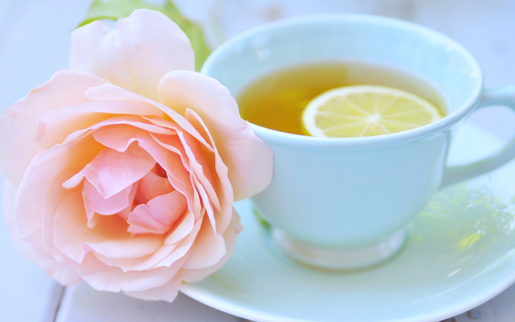 Белая чашка чая с лимоном и розовой розой