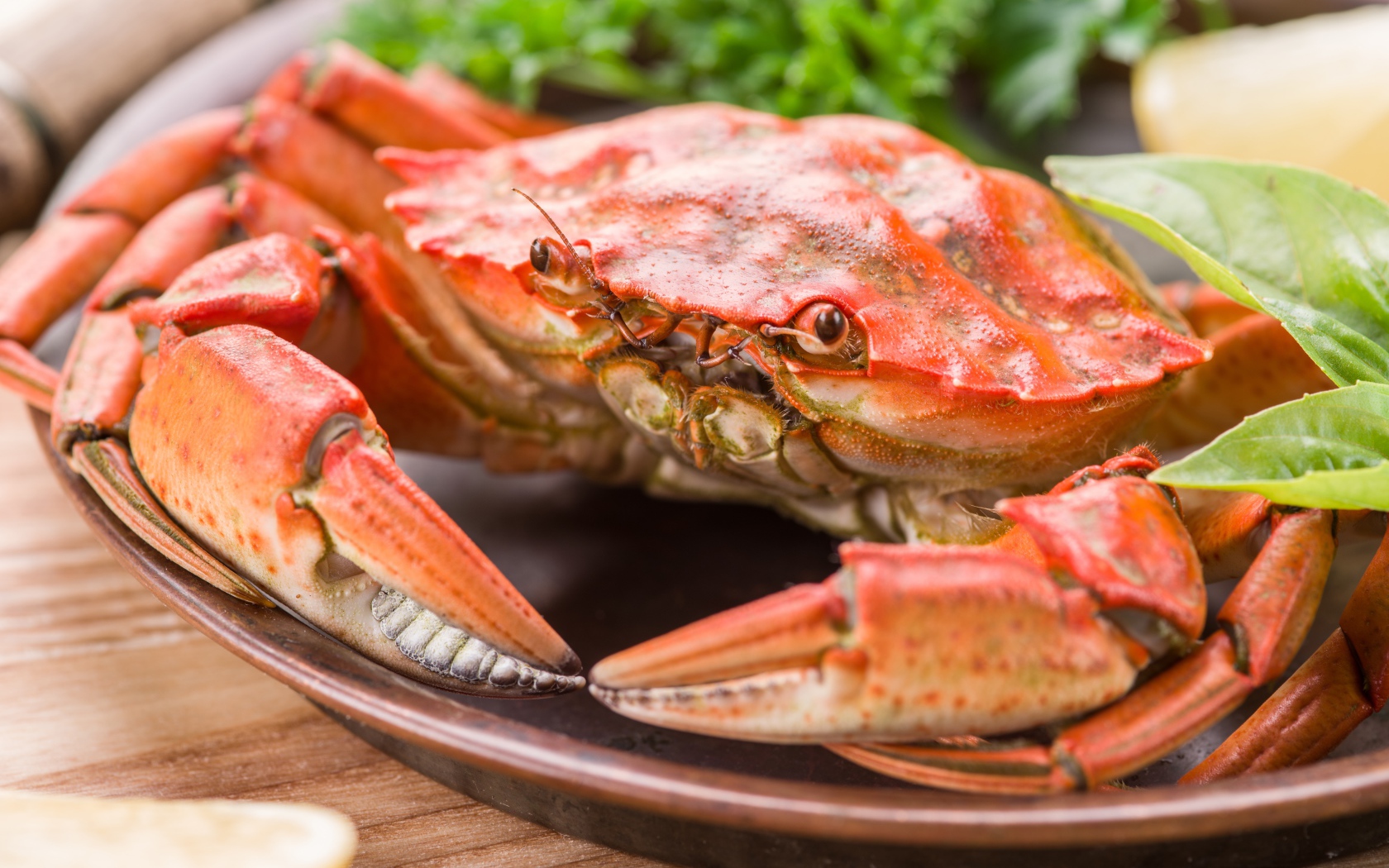 Большой вареный краб на тарелке с листьями салата