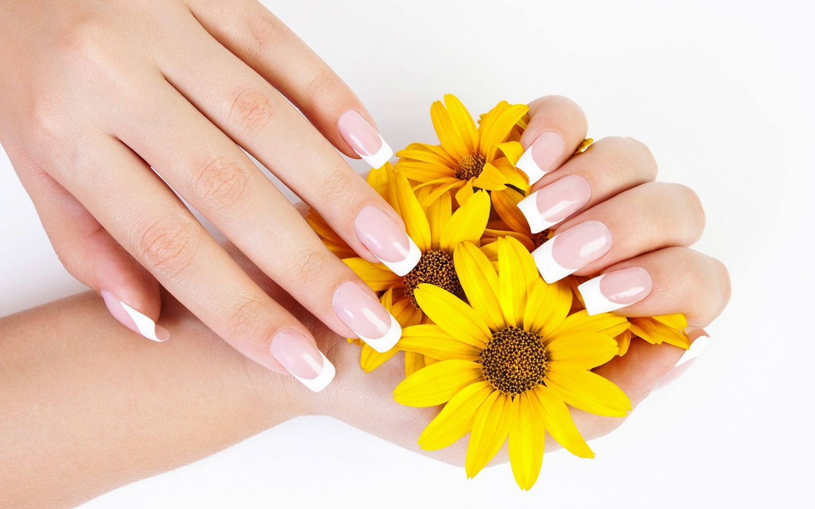 Beautiful female hands with a manicure with yellow flowers