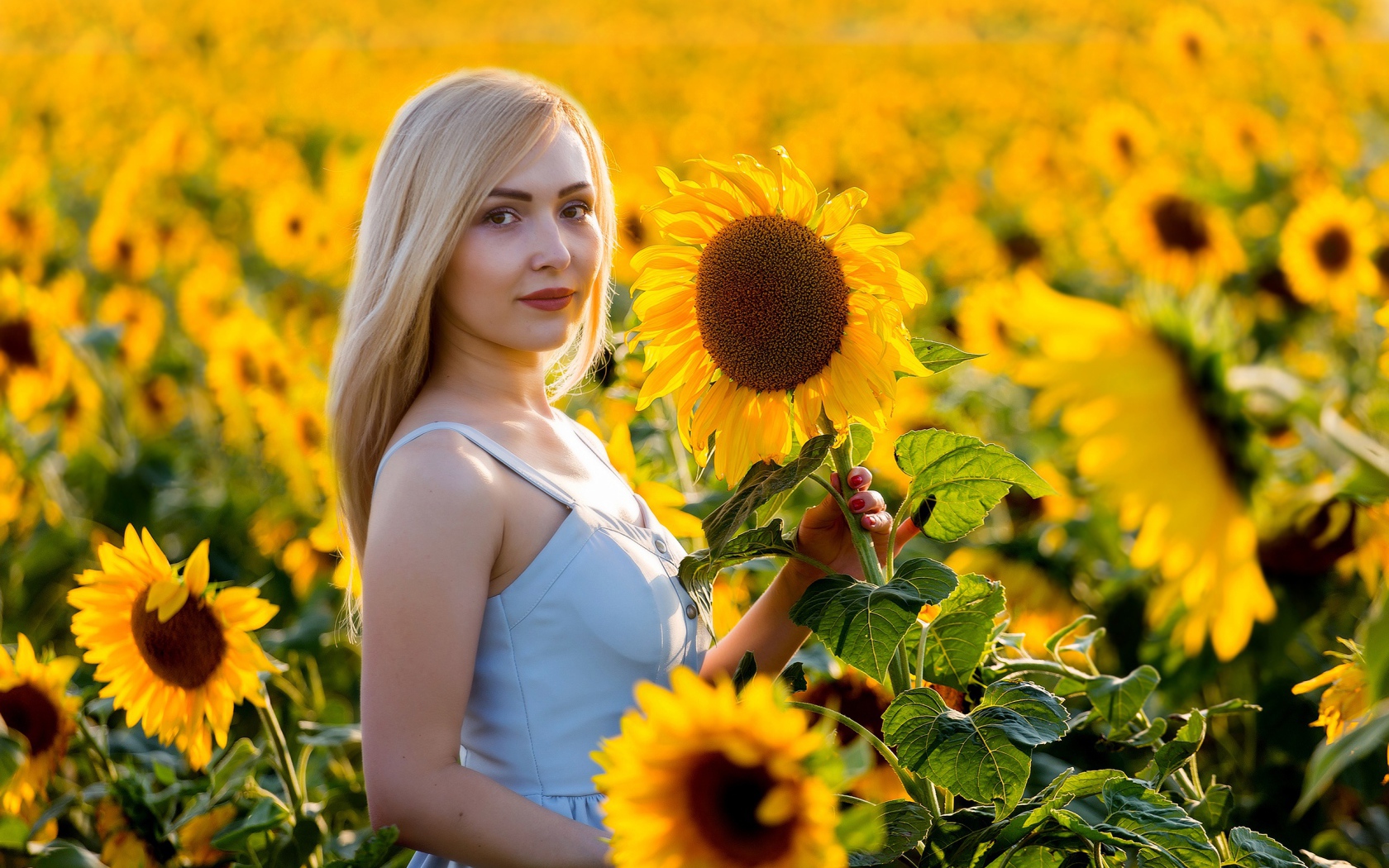 Красивая блондинка в цветущих подсолнухах 