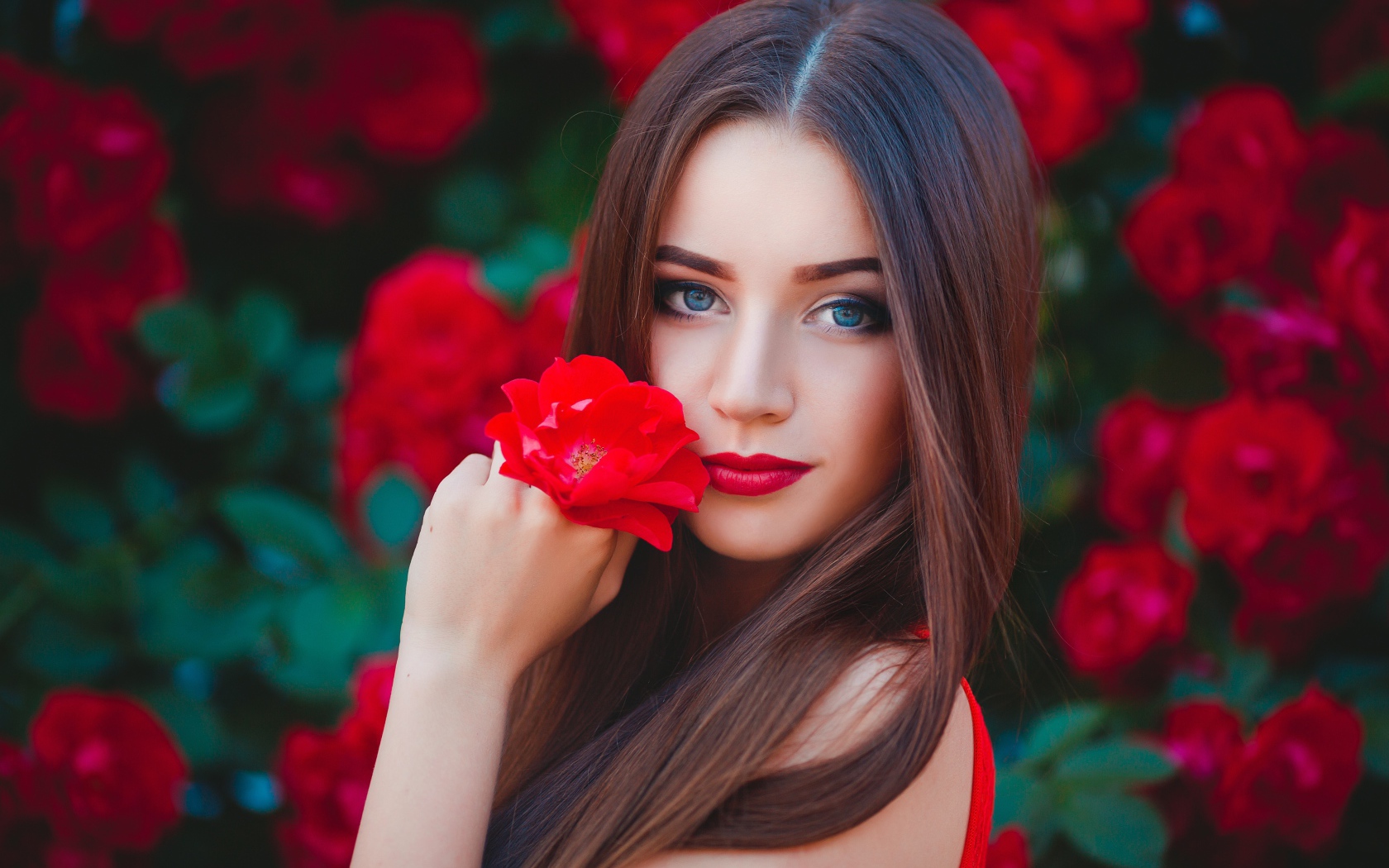 Красивая голубоглазая девушка с красной розой в руке