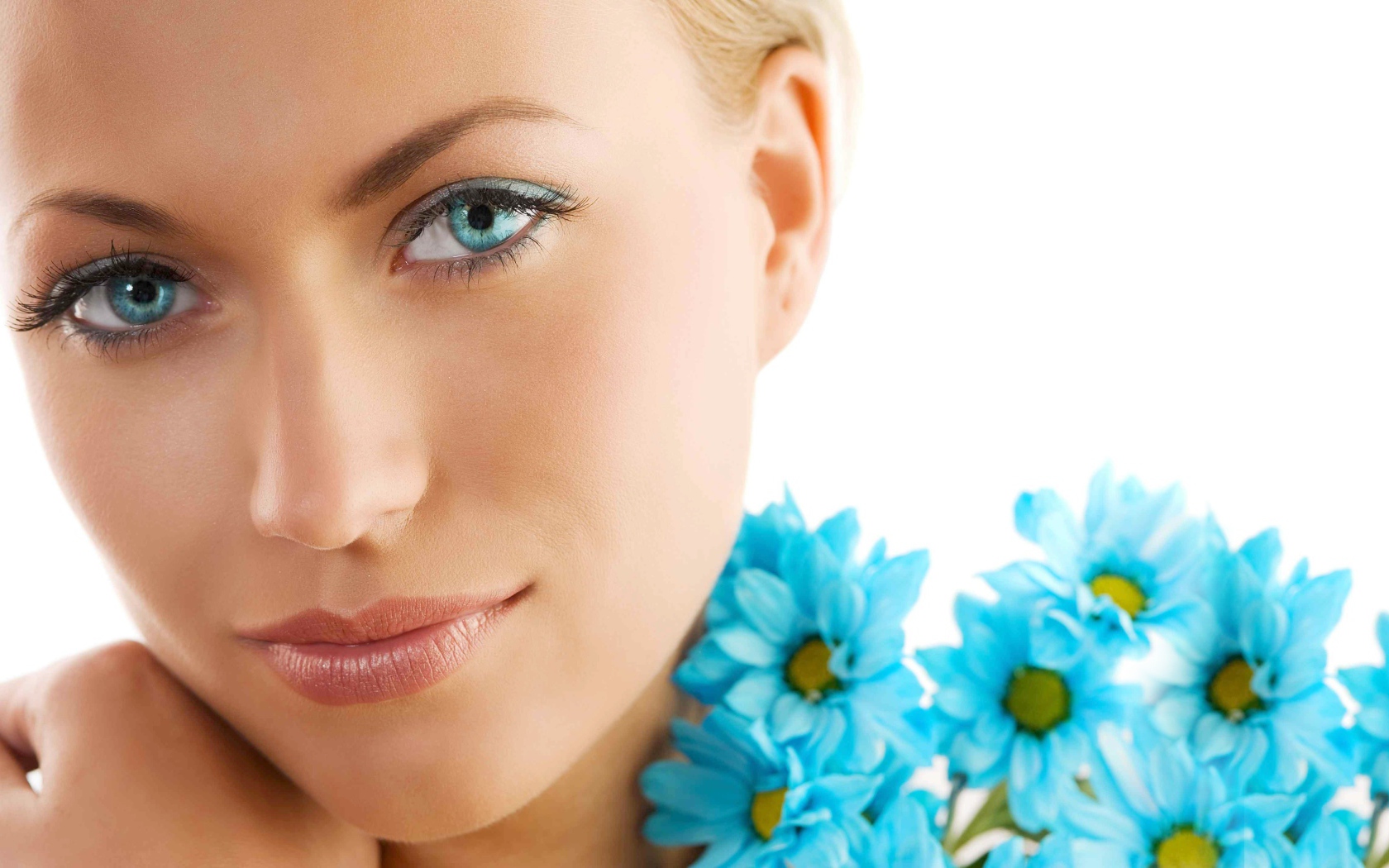 Красивая голубоглазая девушка с голубыми хризантемами на белом фоне