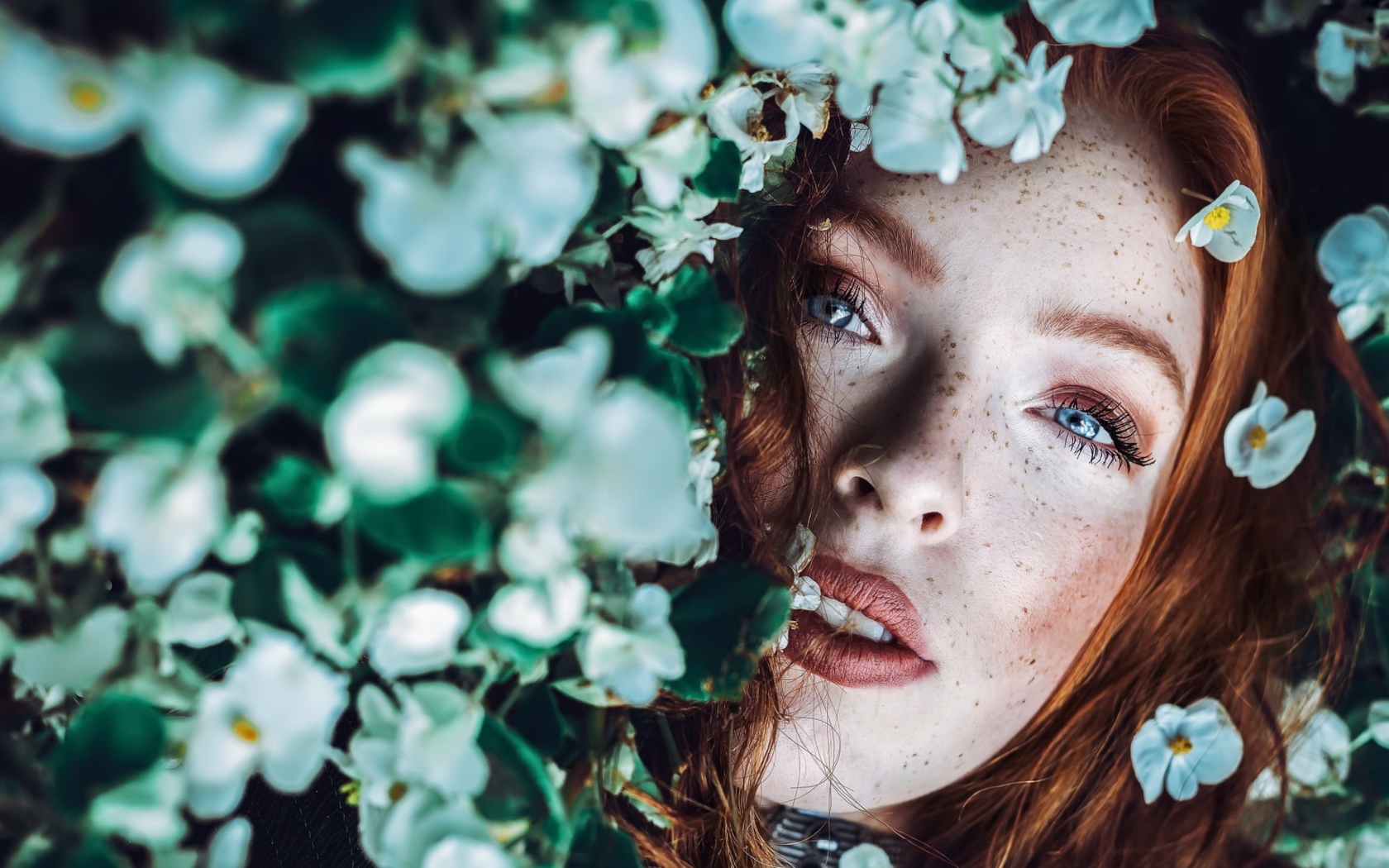 Рыжеволосая девушка с веснушками в белых цветах 