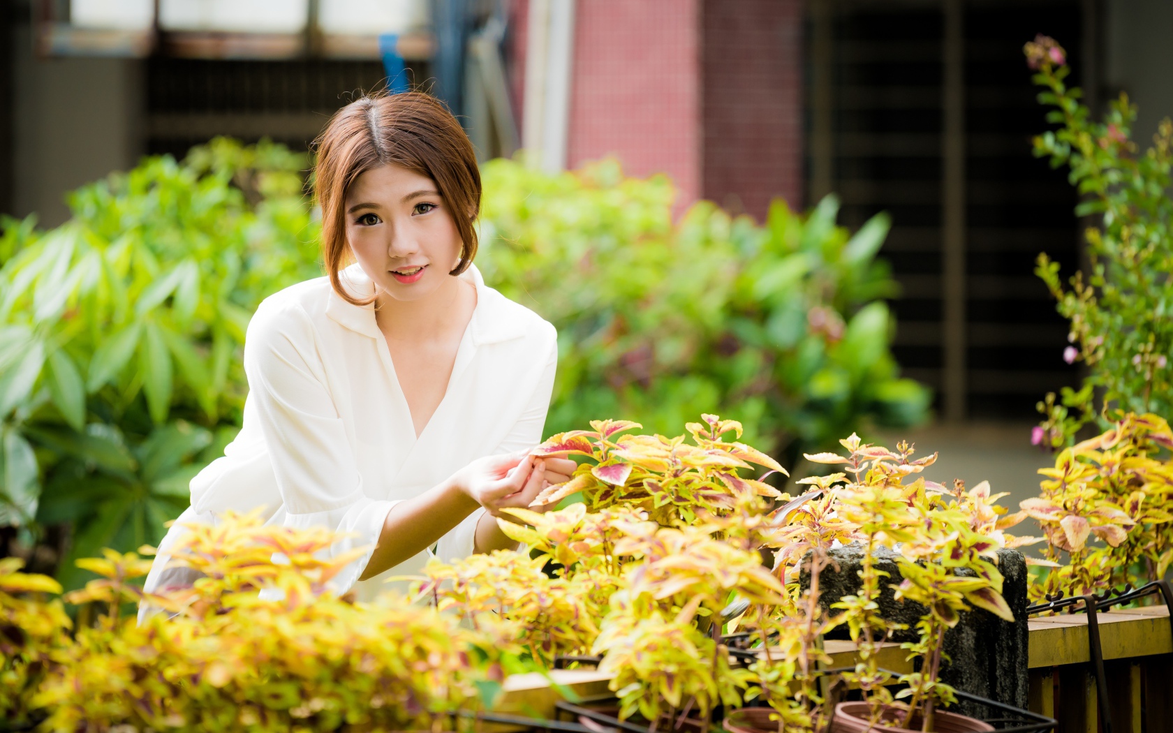 Молодая девушка азиатка с комнатными цветами