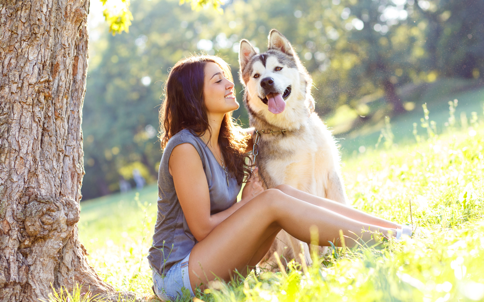 Молодая девушка с хаски сидят под деревом летом
