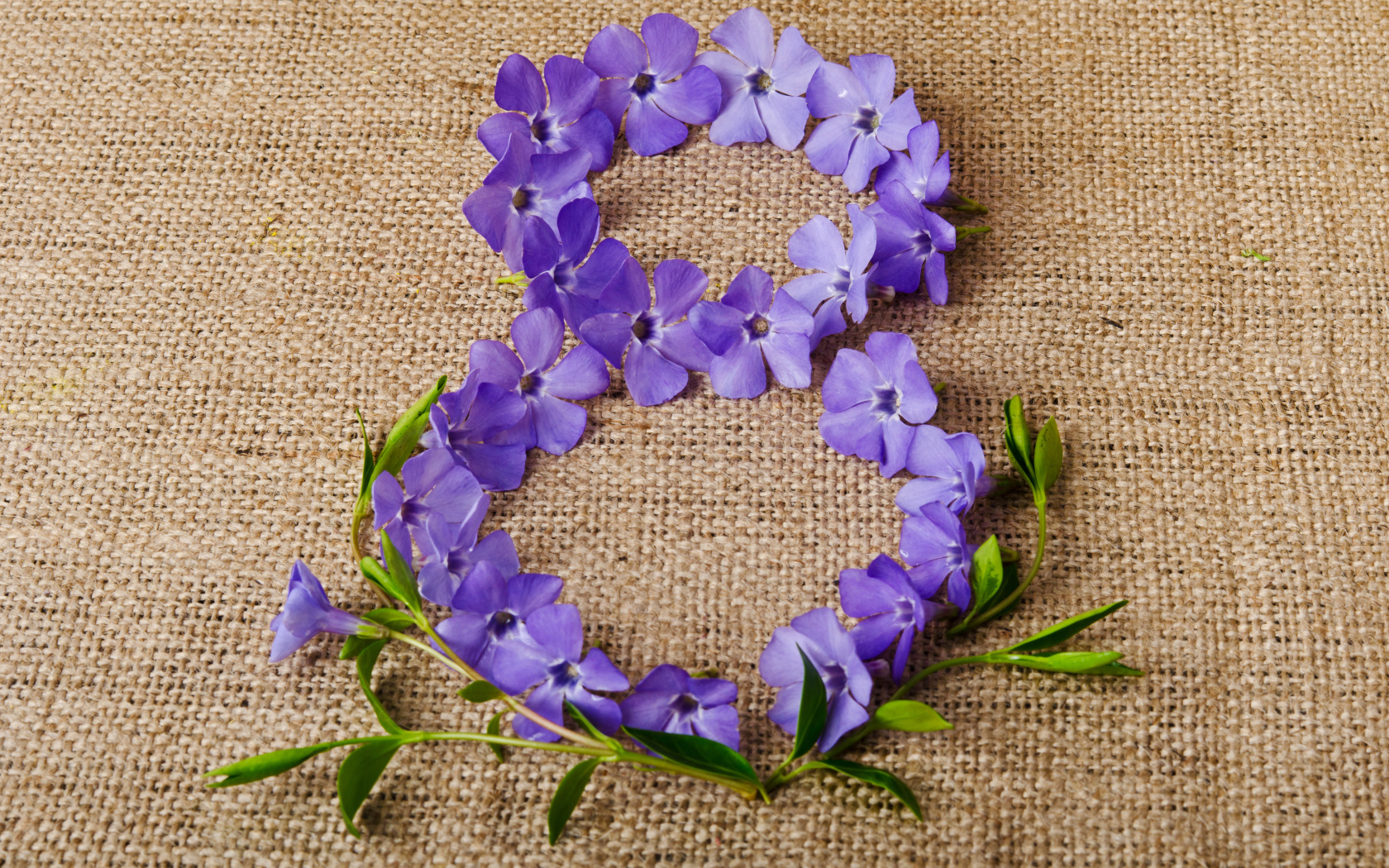 Цифра 8 из сиреневых цветов на Международный женский день 8 марта