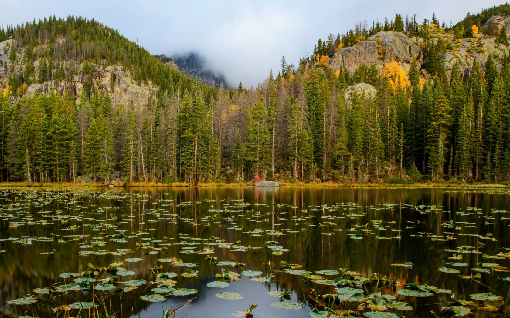 Озеро на фоне соснового леса у подножия гор