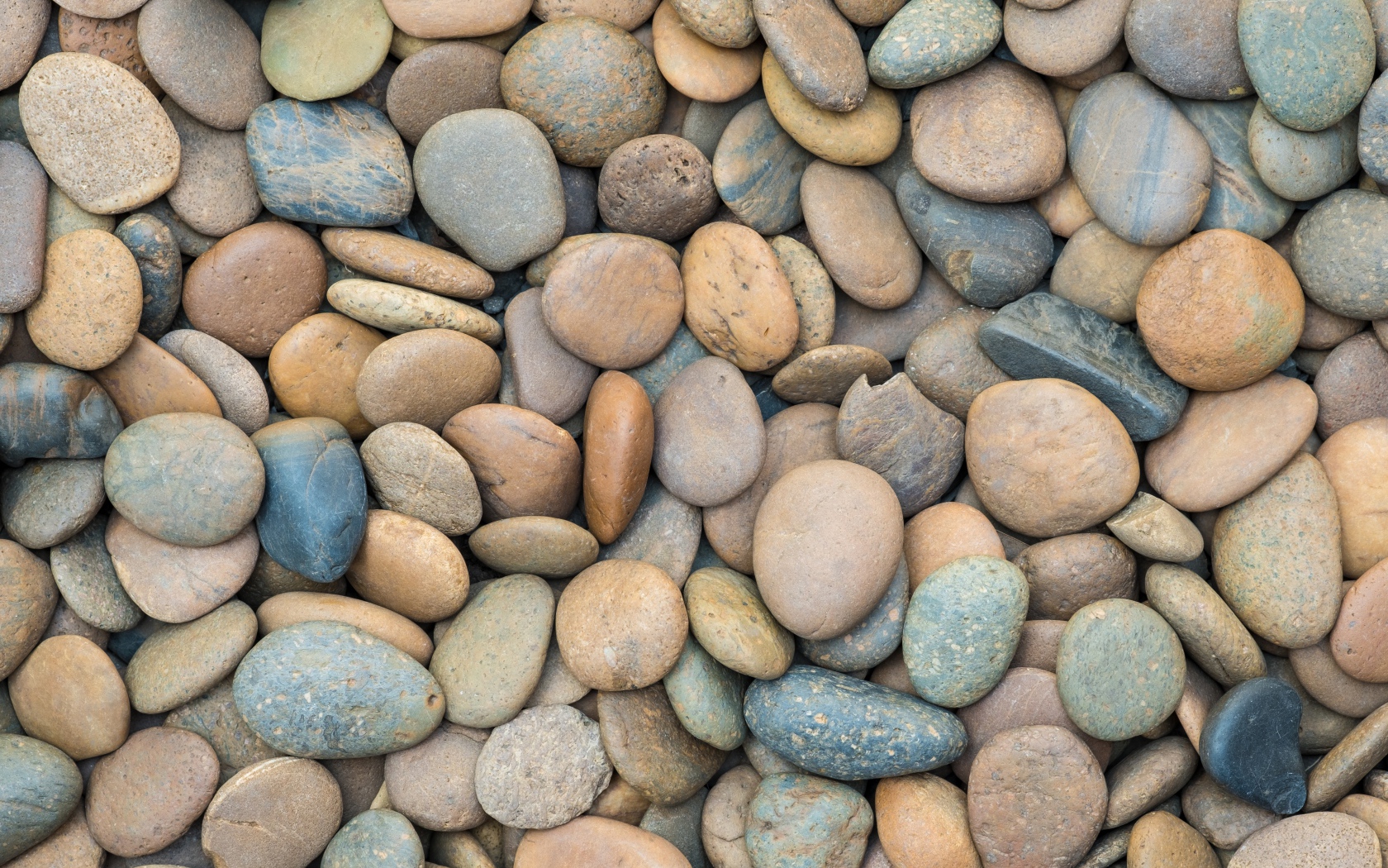 Разноцветные морские камни крупным планом