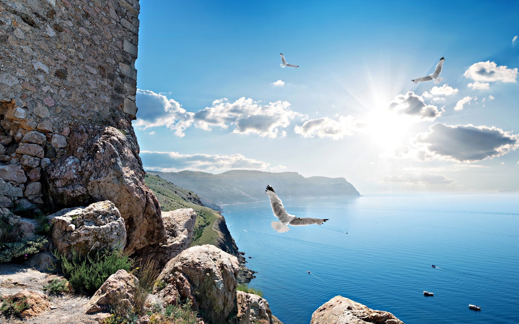 Чайки летают у скалы в лучах солнца под красивым голубым небом