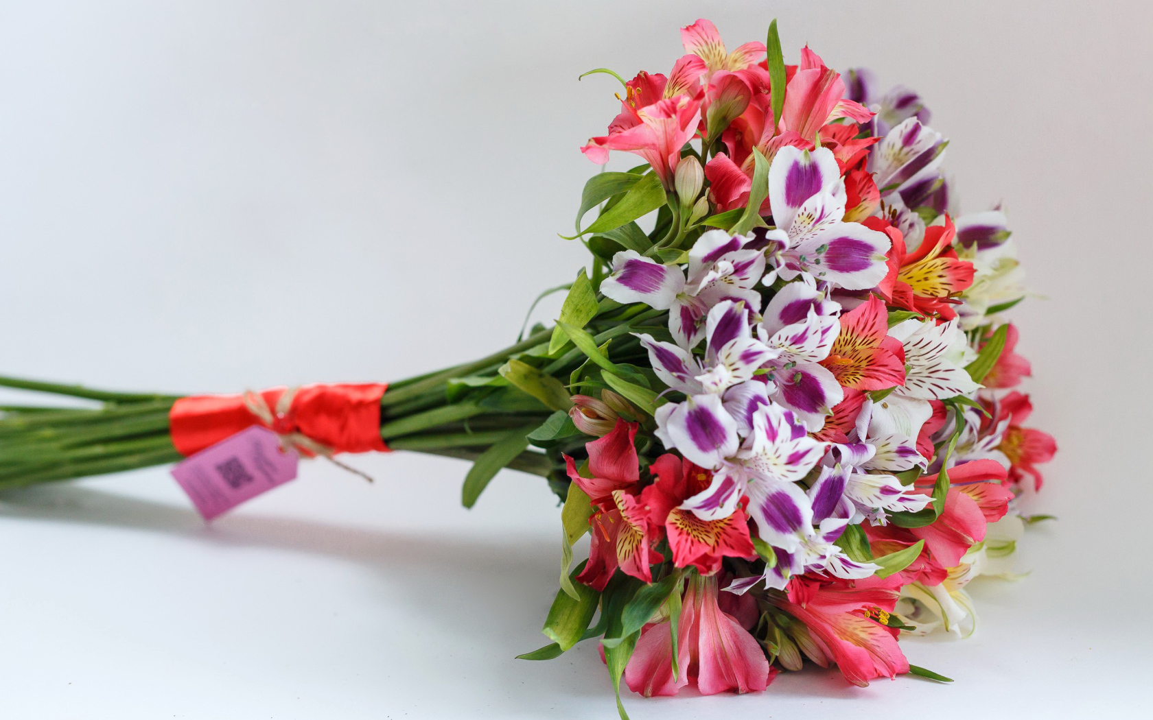 Букет цветов альстромерия на сером фоне 