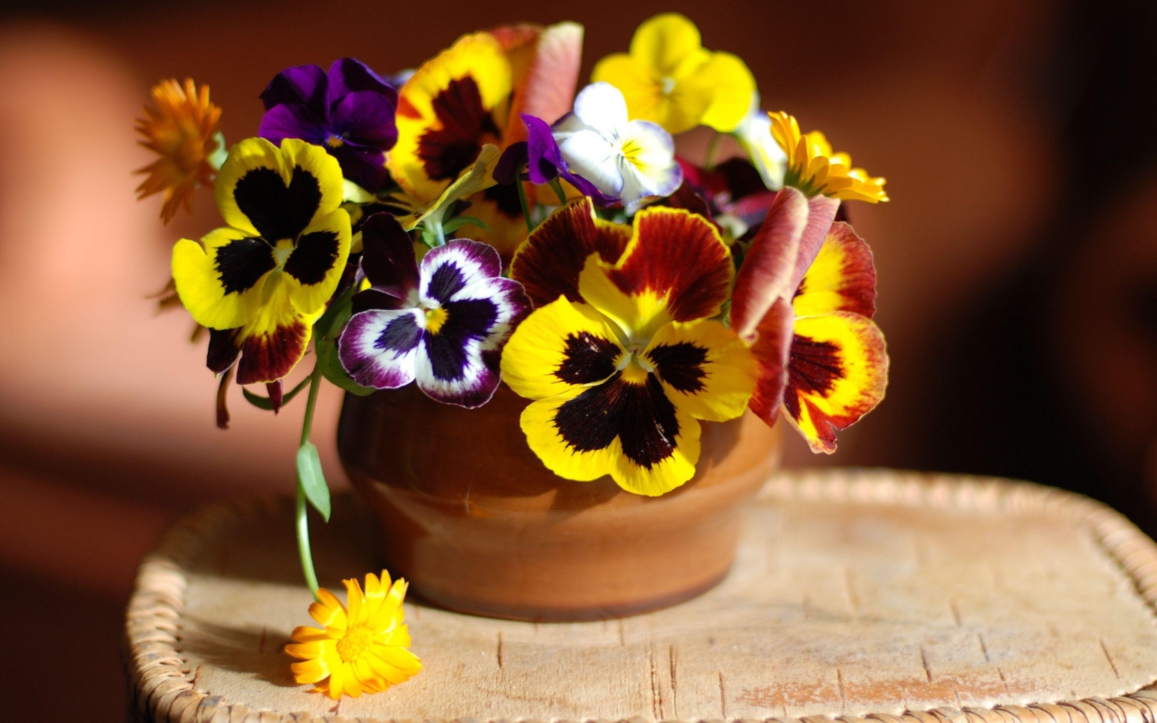 Букет цветов анютины глазки в вазе