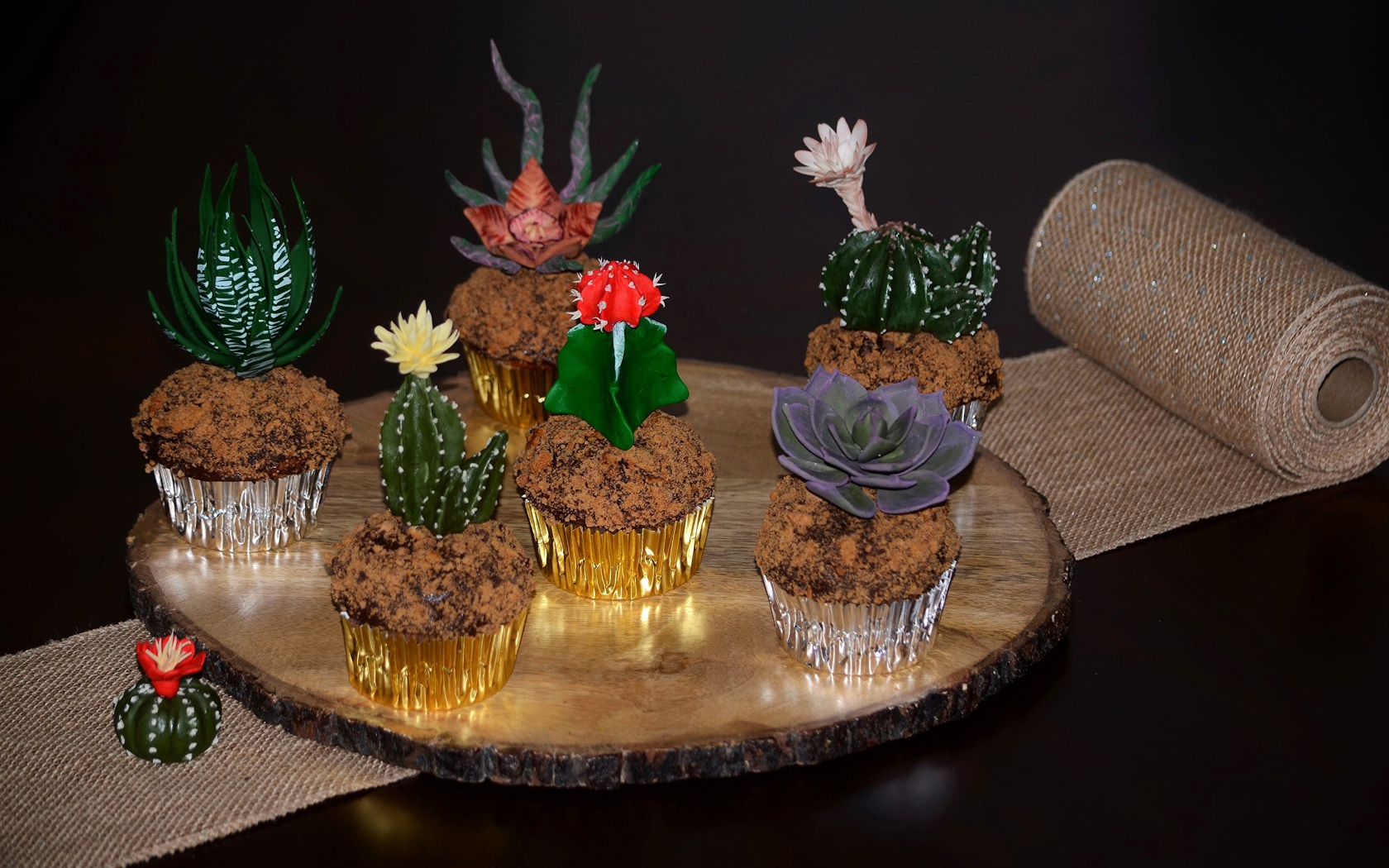 Красивые цветущие комнатные кактусы