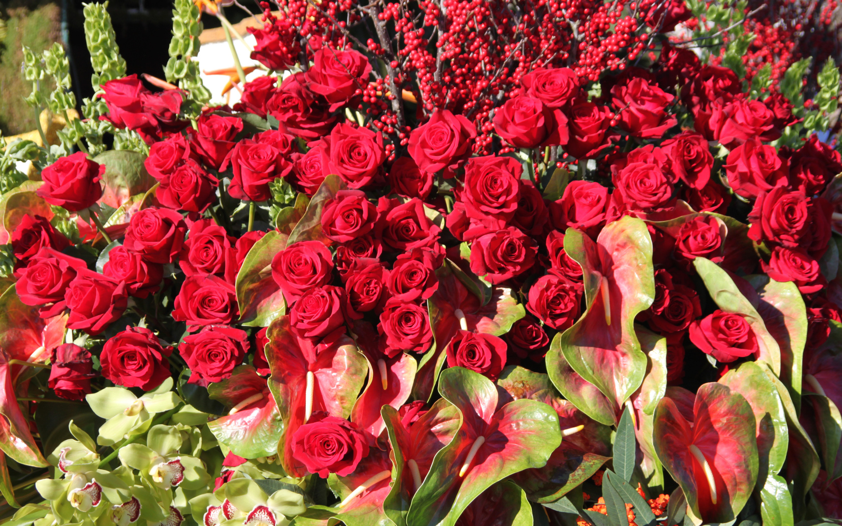 Красивые красные розы с цветами антуриум