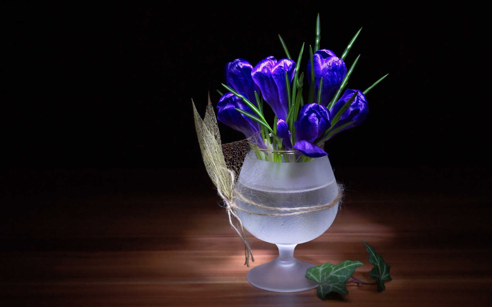 Синие крокусы в стеклянном бокале на черном фоне