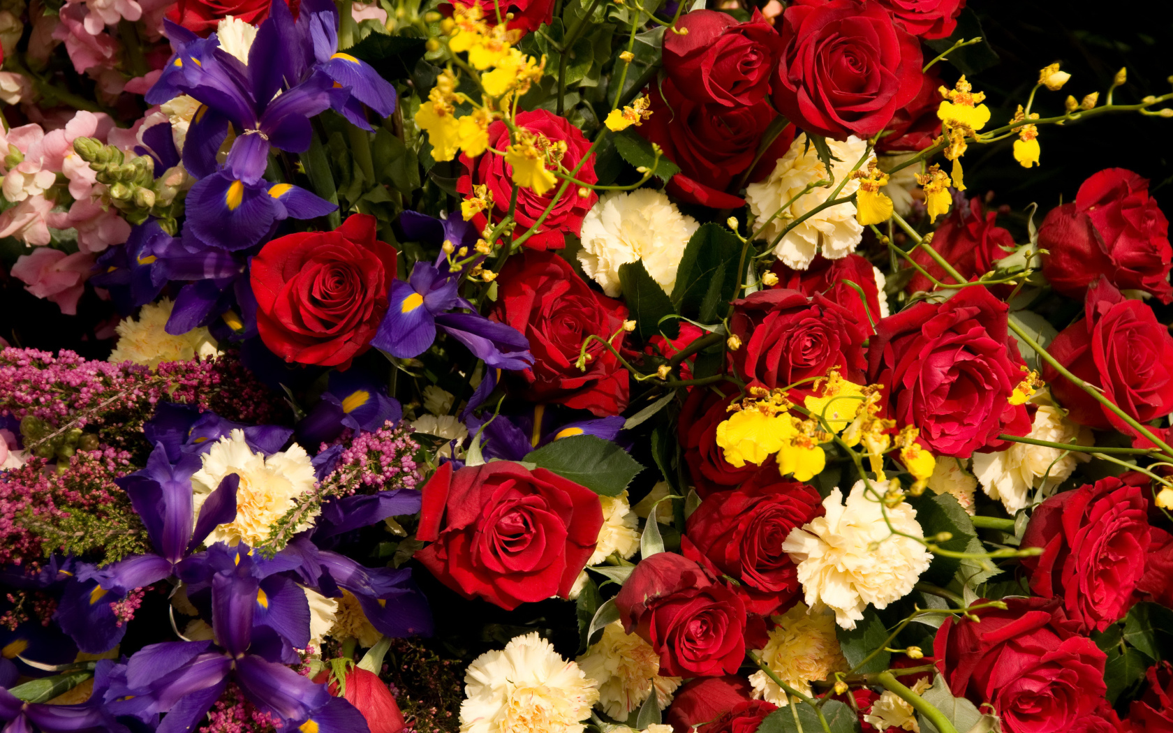 Розы, ирисы, гвоздики, орхидеи крупным планом