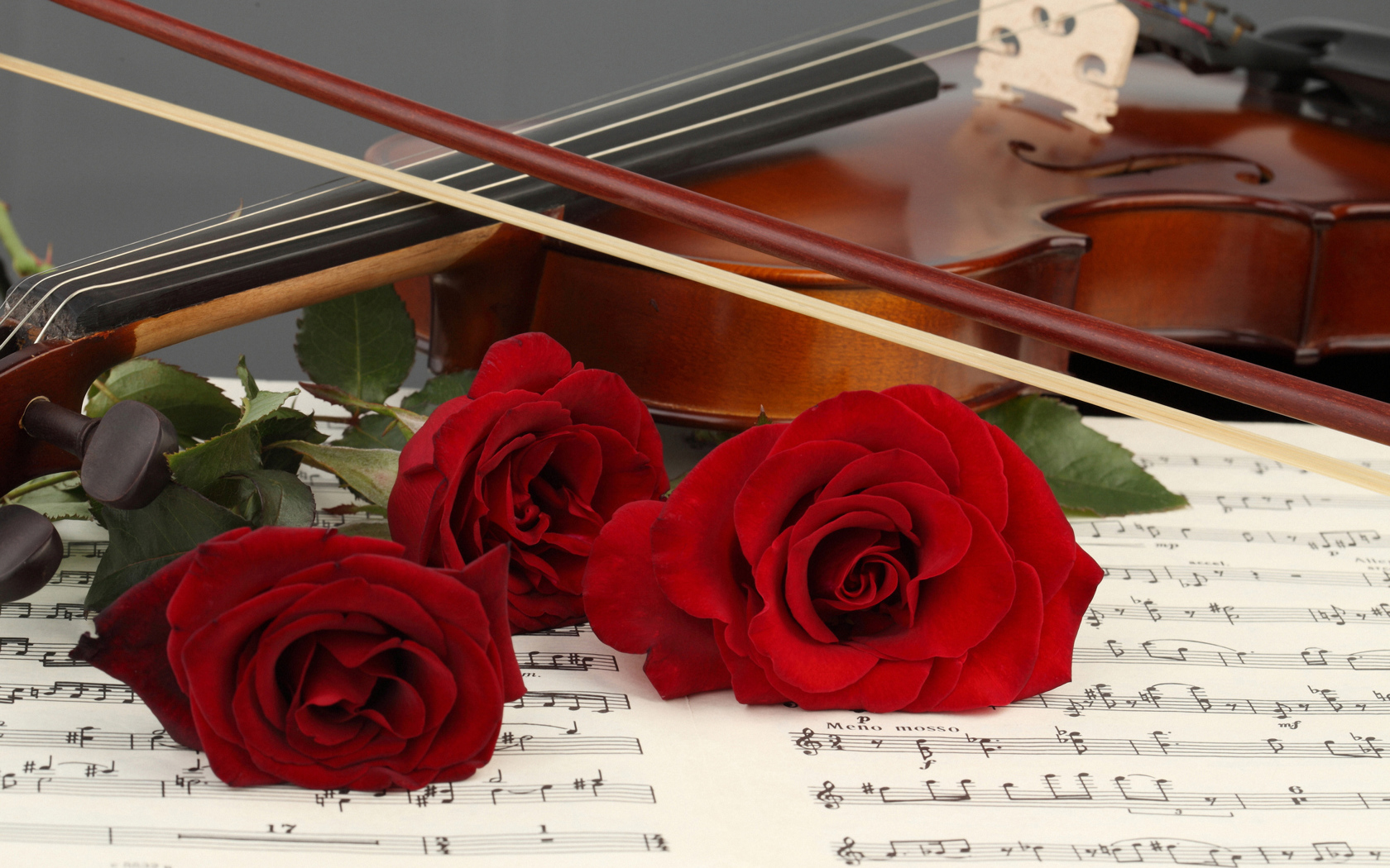 Три красные розы лежат на нотной тетради со скрипкой
