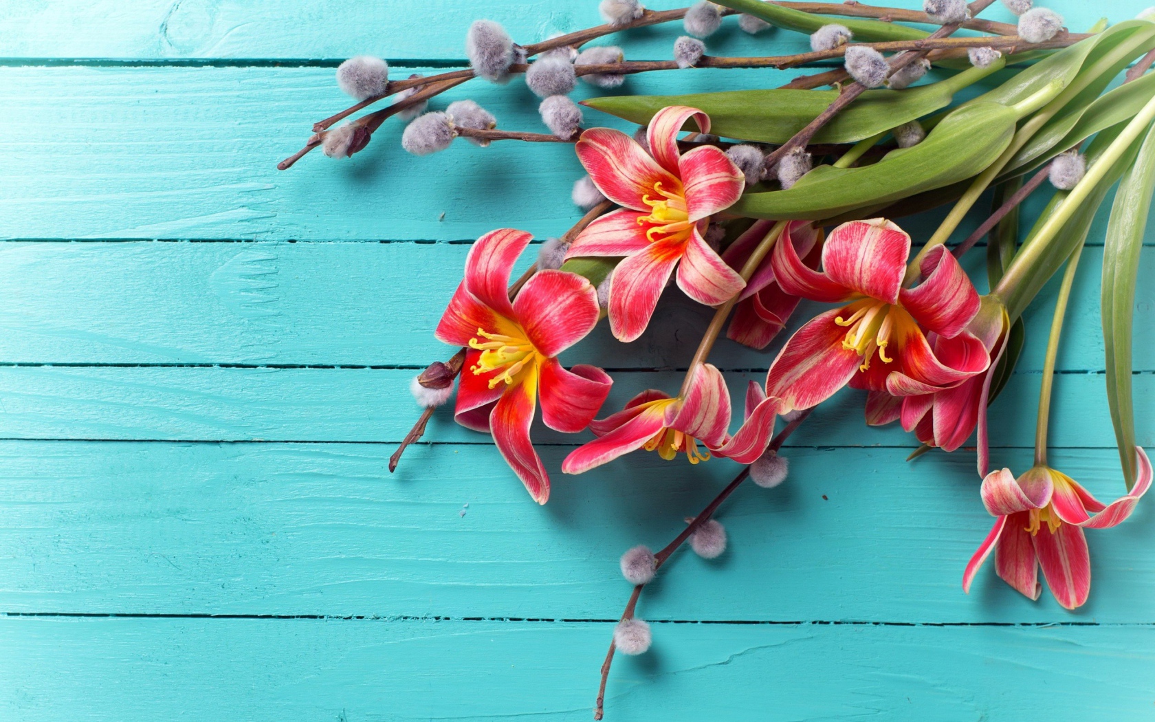 Тюльпаны с веточками вербы на голубом фоне