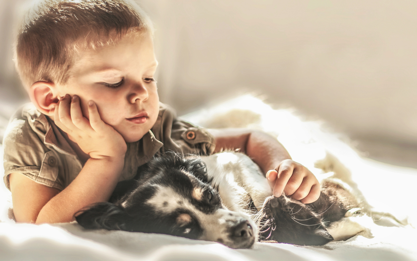 Маленький мальчик лежит с собакой и котом