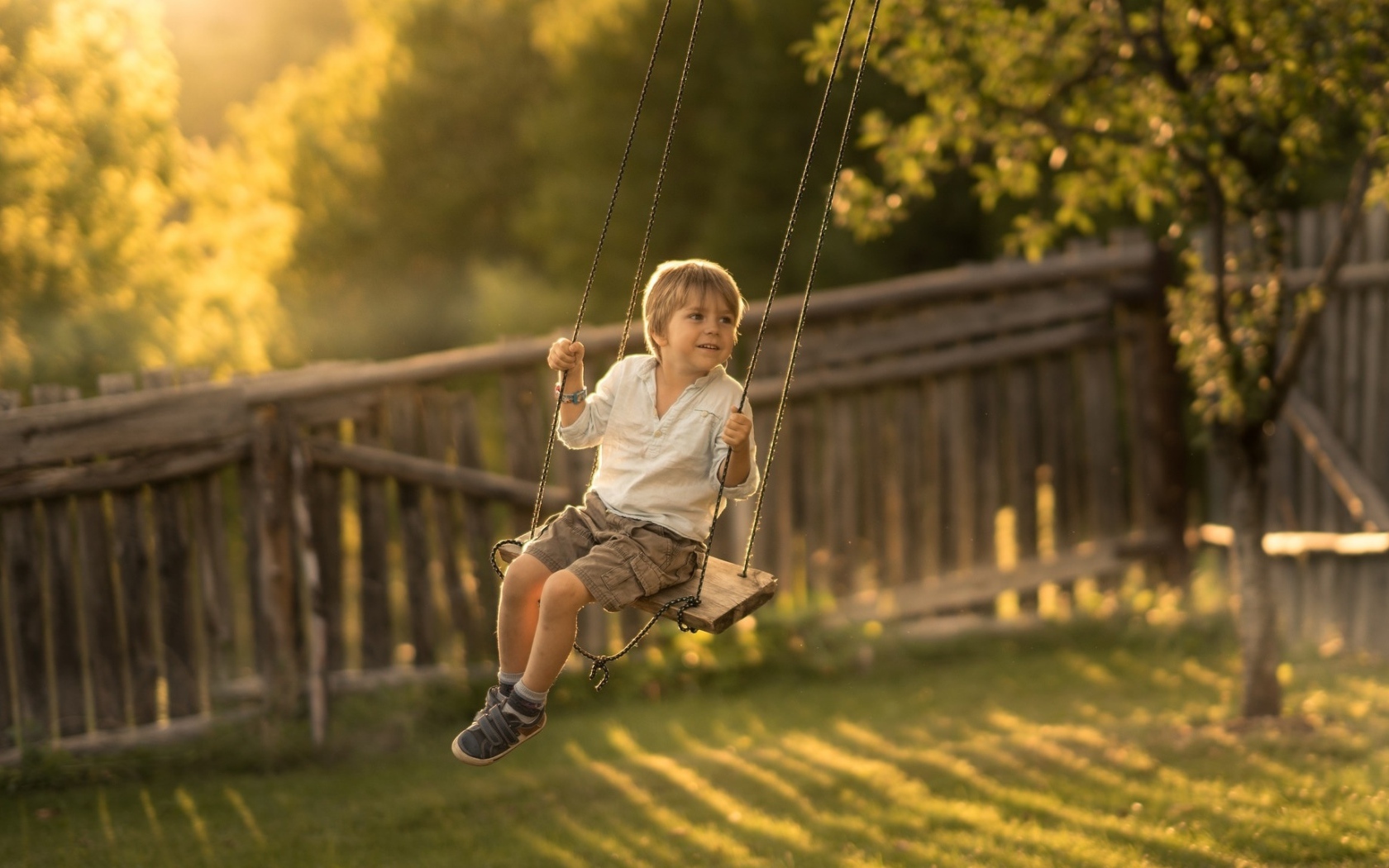 Маленький мальчик катается на качели летом