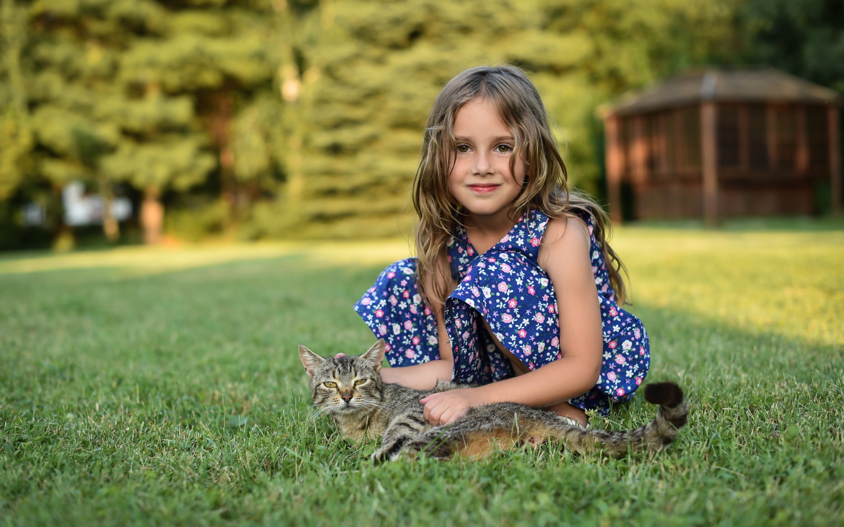 Маленькая девочка сидит на зеленой траве с серым котом