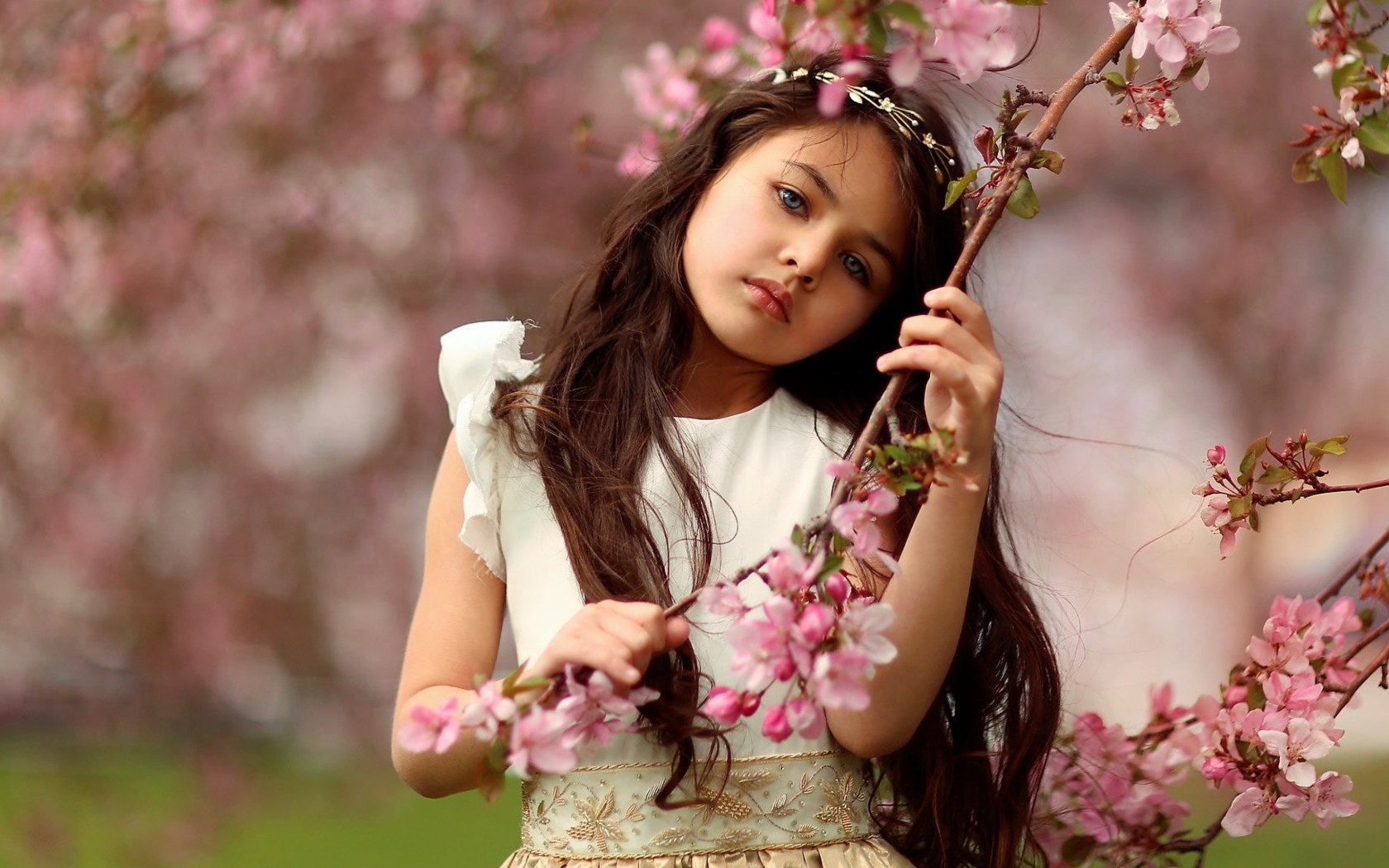 Маленькая девочка у цветущей розовыми цветами ветки