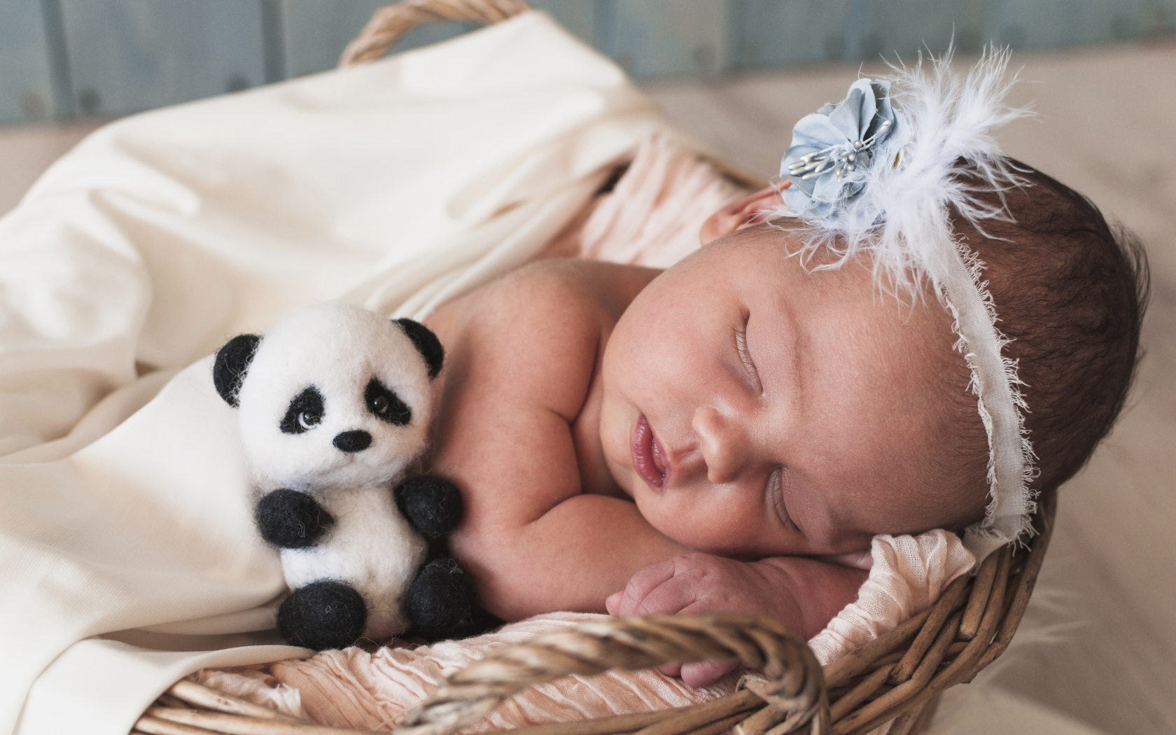 Little sleeping girl with a toy panda