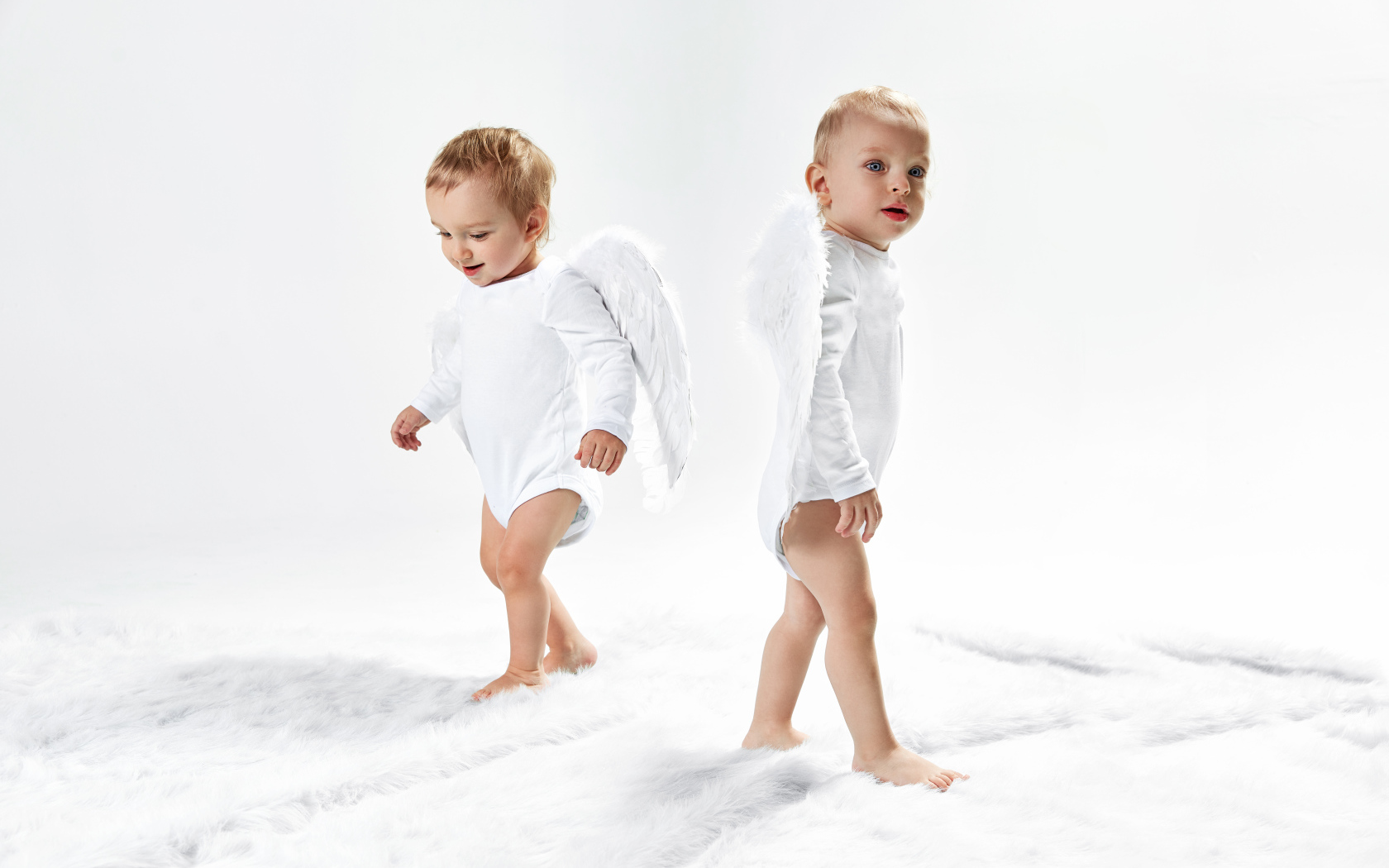 Два маленьких мальчика в костюмах ангела на белом фоне