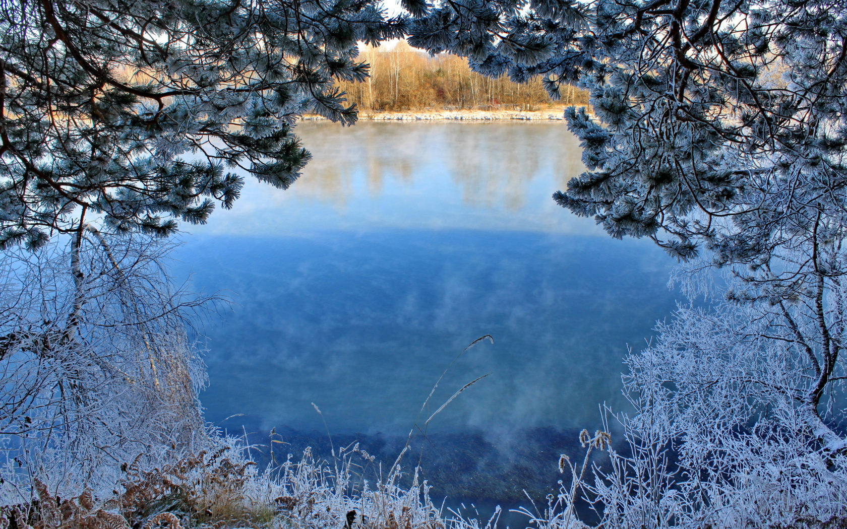 Вид через покрытые инеем ветки на зимнее озеро