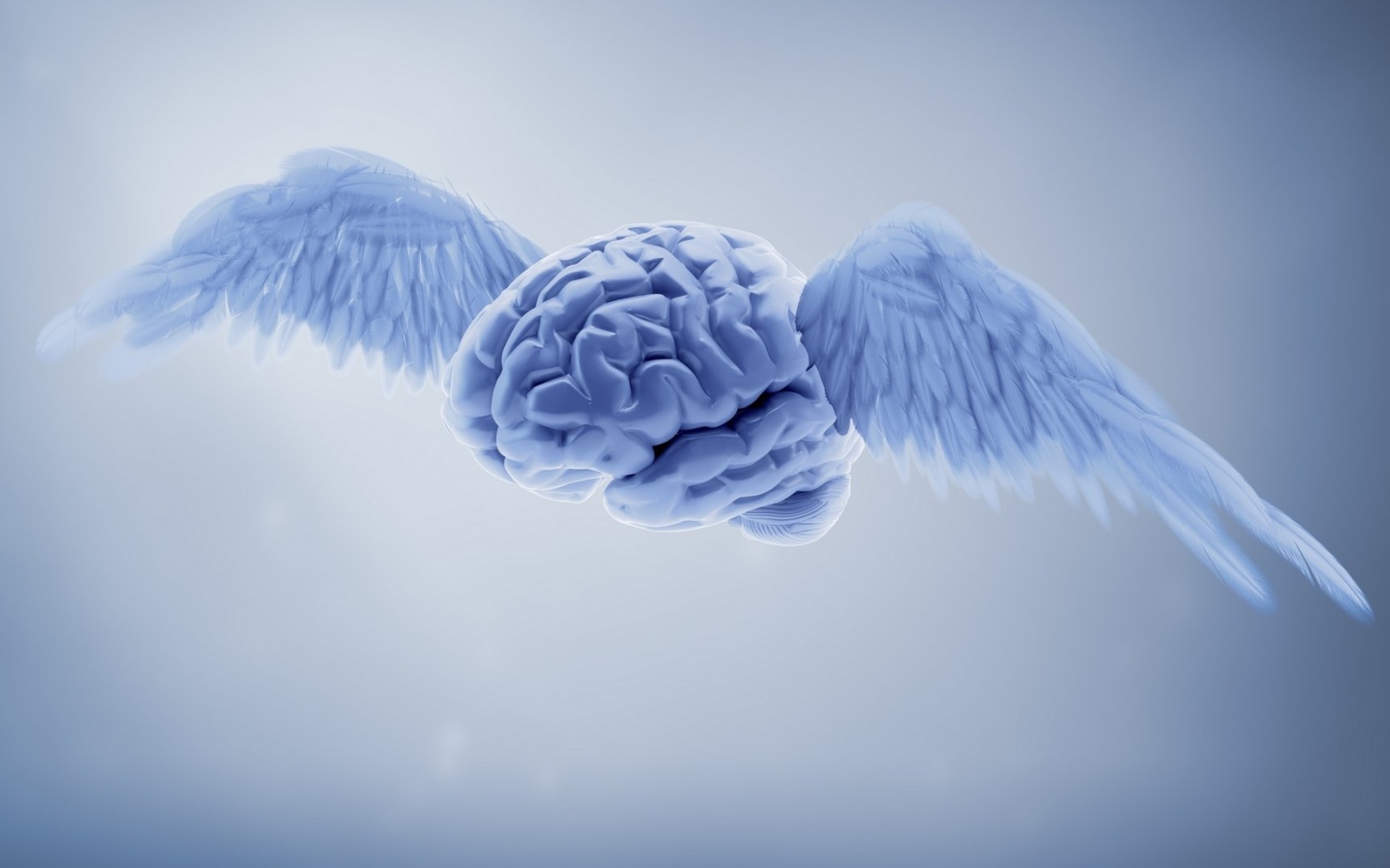 Голубой мозг с крыльями на сером фоне 3д графика