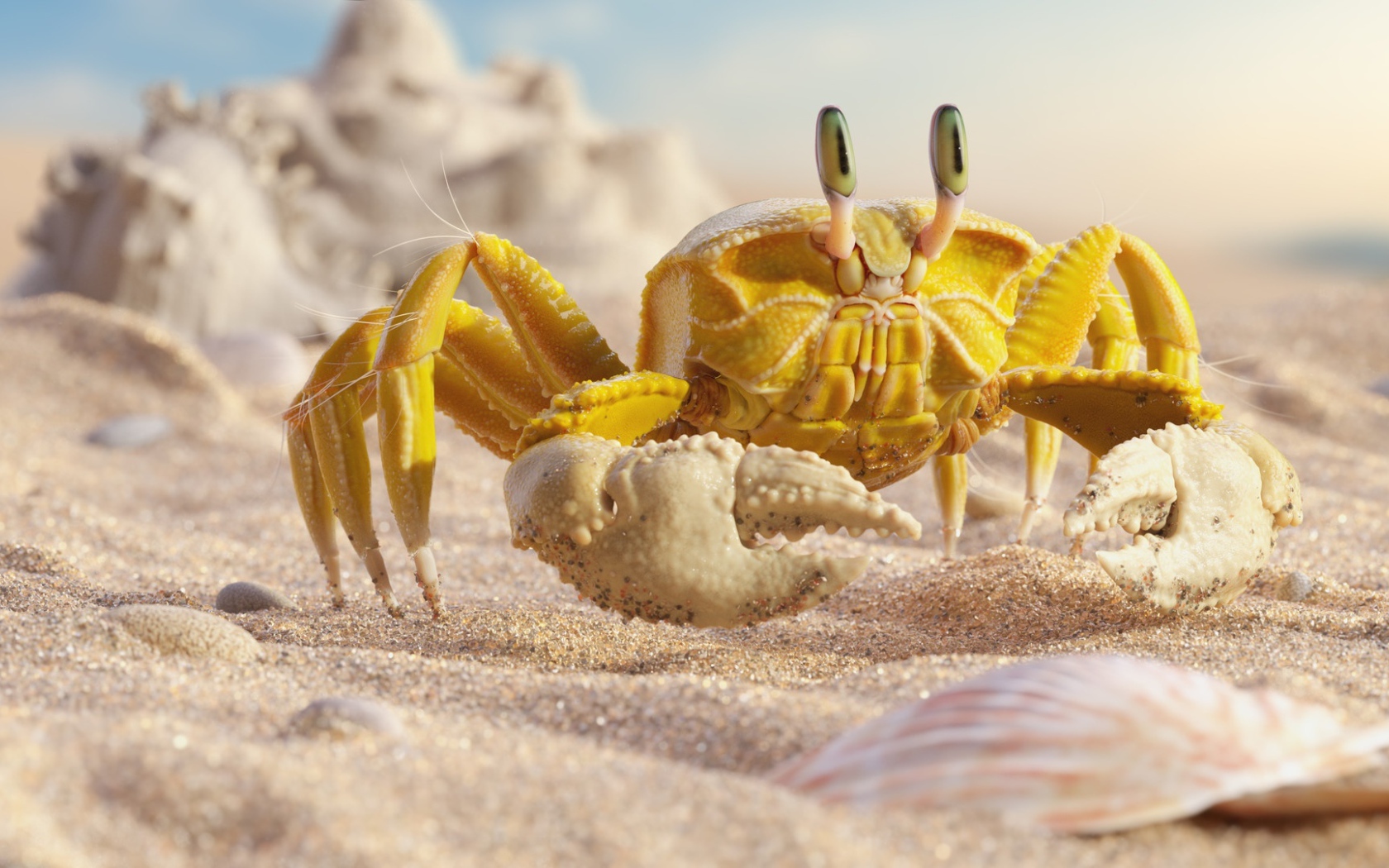 Yellow crab on white sand with shells