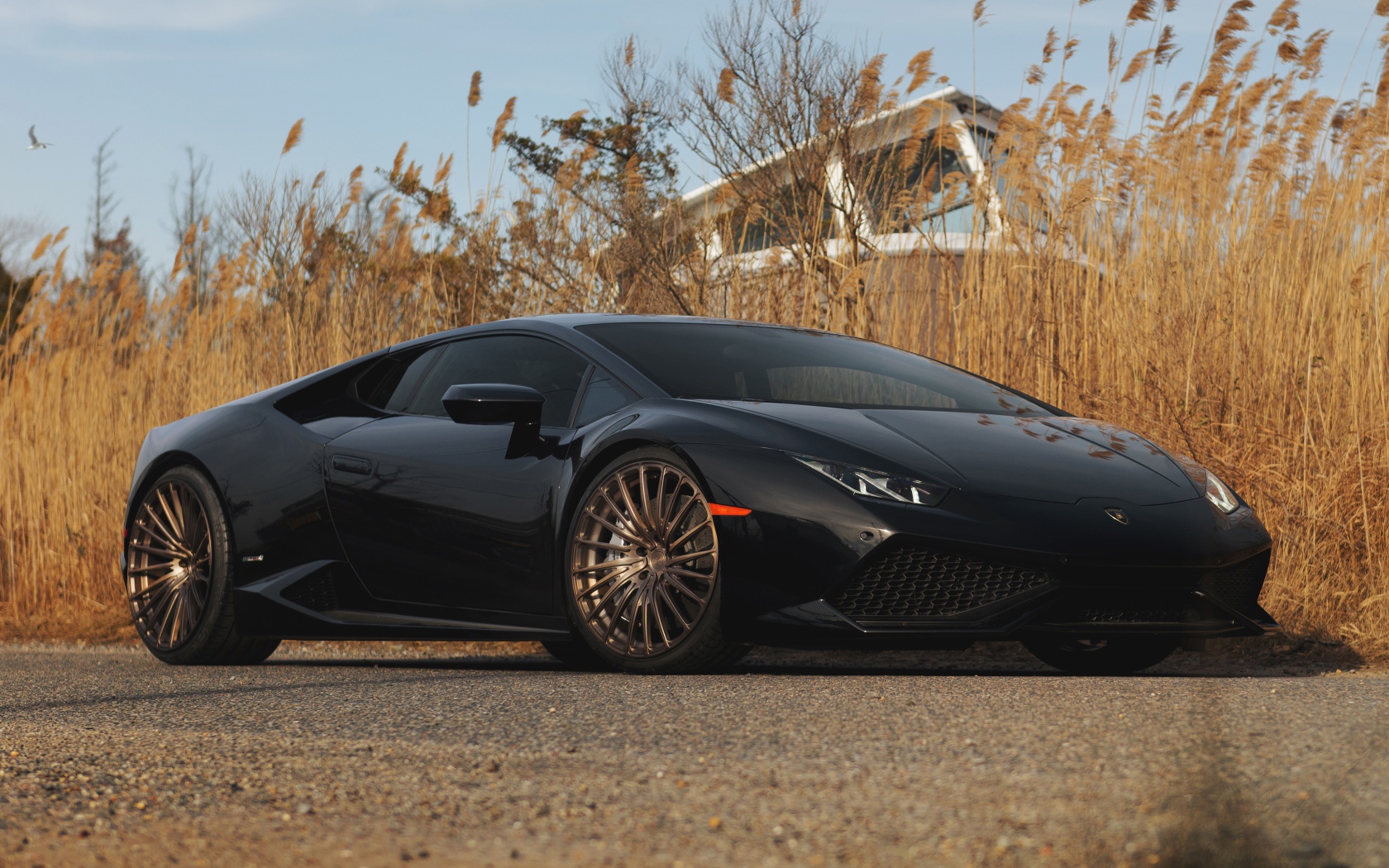 Черный автомобиль Lamborghini Huracan на фоне камыша