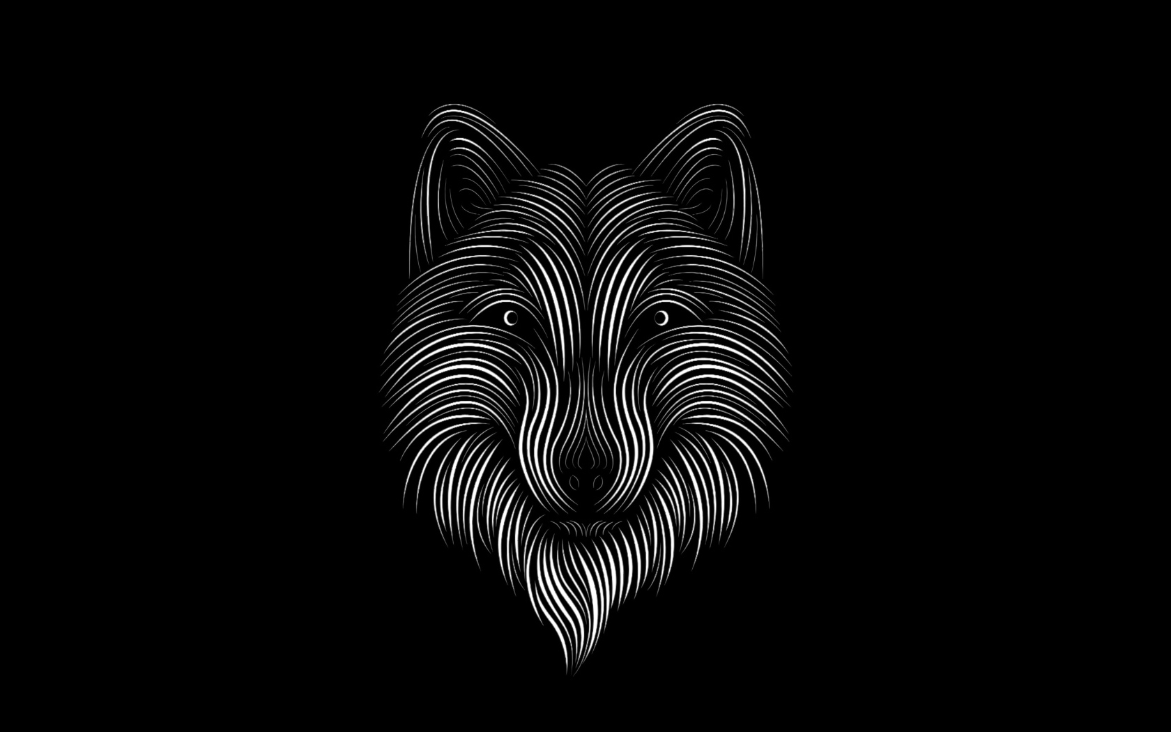 Нарисованный белый волк на черном фоне