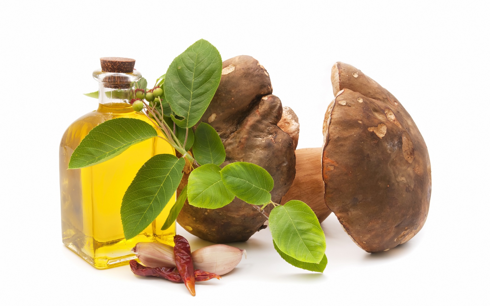 Грибы на белом фоне с оливковым маслом и чесноком