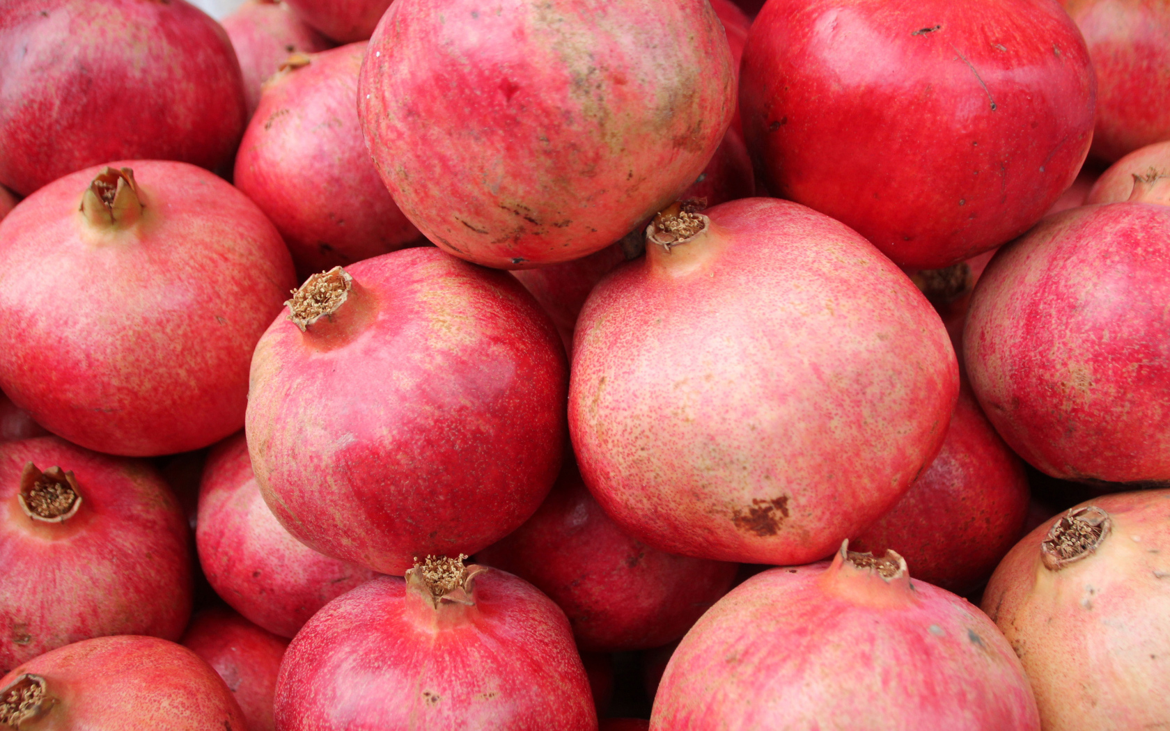 Много красных плодов граната крупным планом