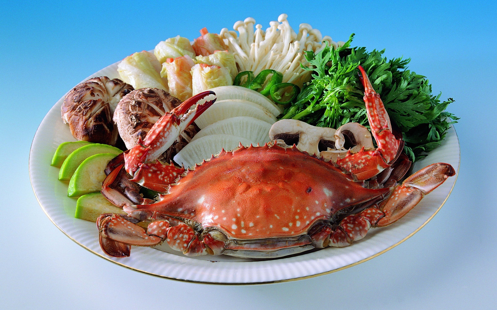 Морепродукты на тарелке с зеленью на голубом фоне