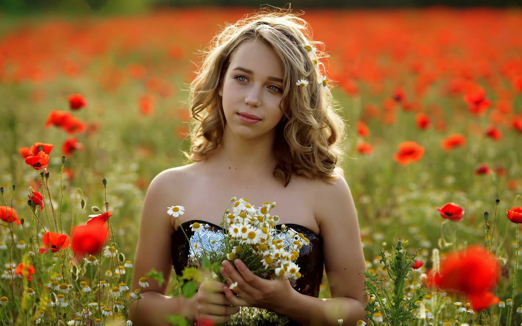Красивая девушка с букетом ромашек на поле с маками