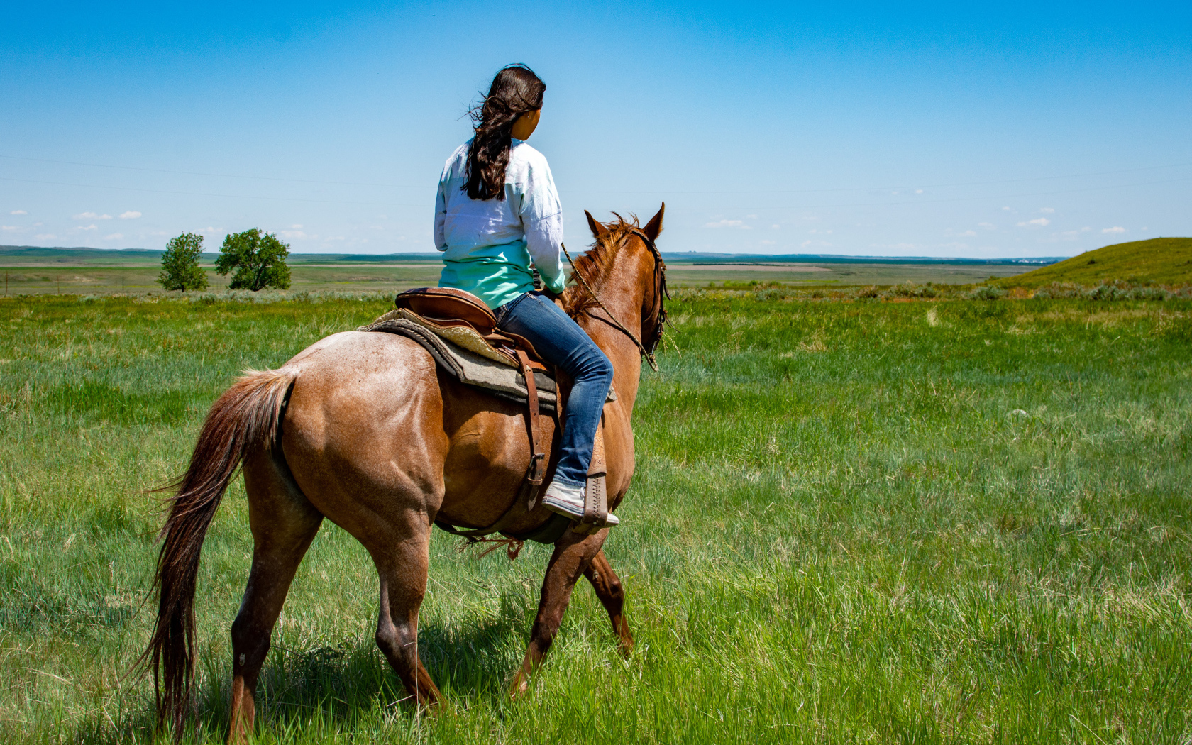 Молодая девушка едет на лошади по зеленой траве