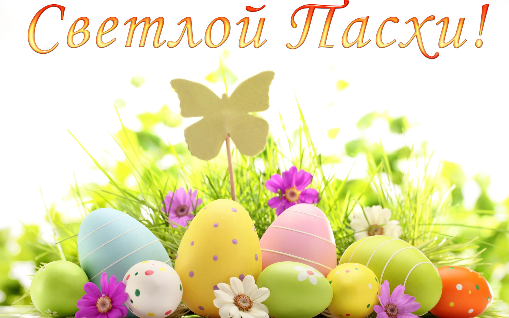 Открытка Светлой Пасхи с крашеными яйцами
