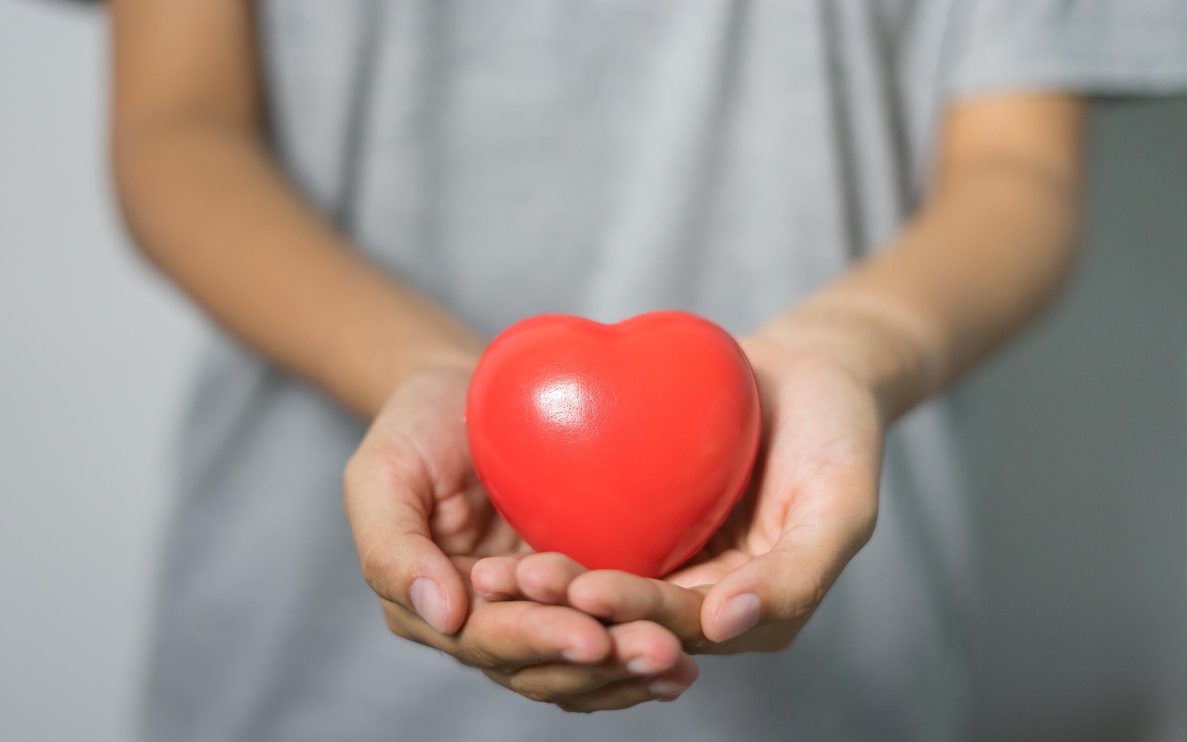 Красное сердце в ладонях 